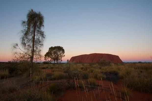 Uluru Lit Glowing Orange At Sunset with Trees In the Foreground