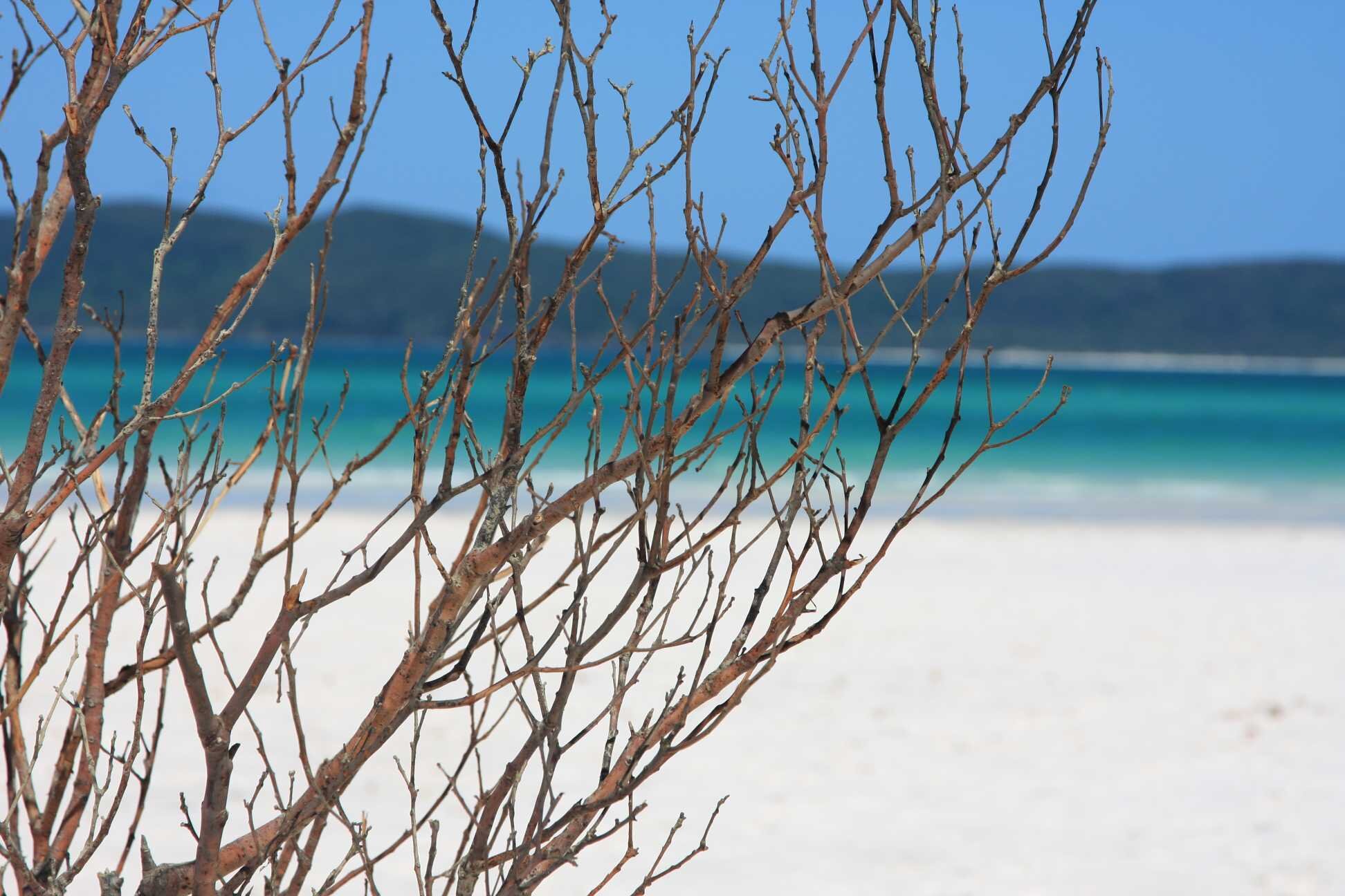 2009-03-01 16-34-01.jpg