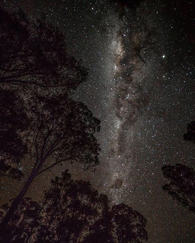 An incredible evening with 8 trillion stars above Parkes, NSW last night. 🛰👽💫 The Dish&trade;️