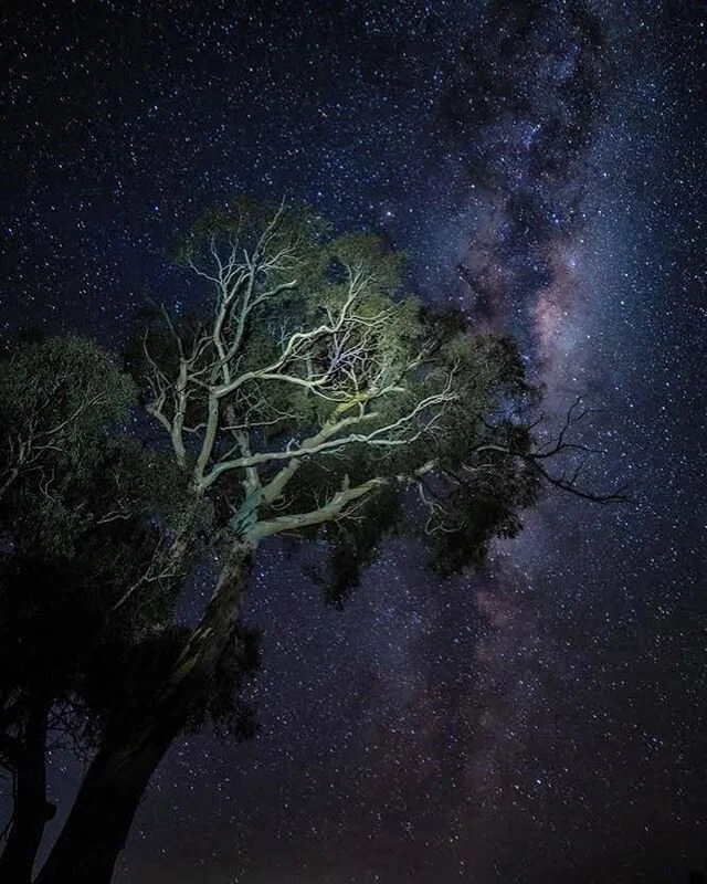 Fresh nights in Jindabyne ❄️