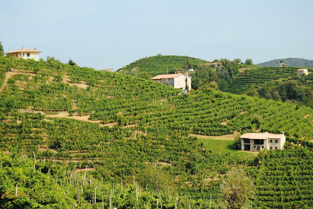 Prosecco hills.jpg