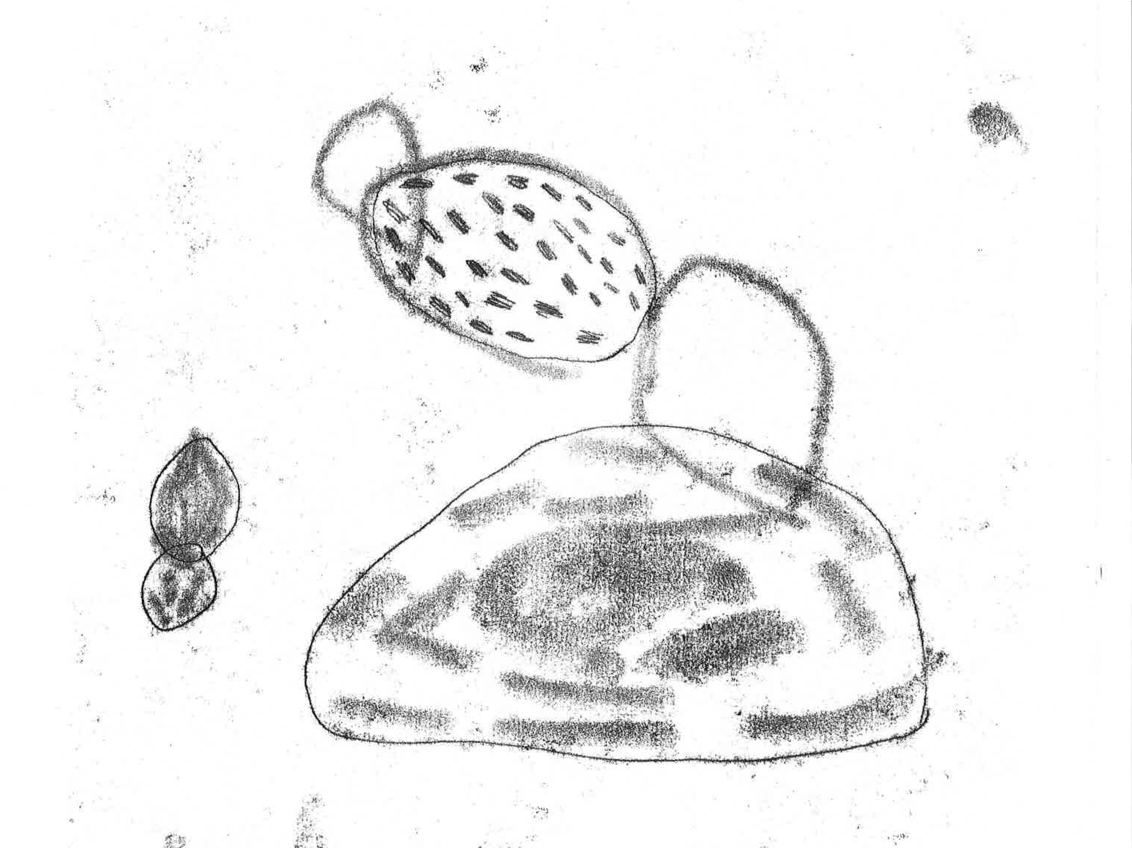 1679_001_Part6.png