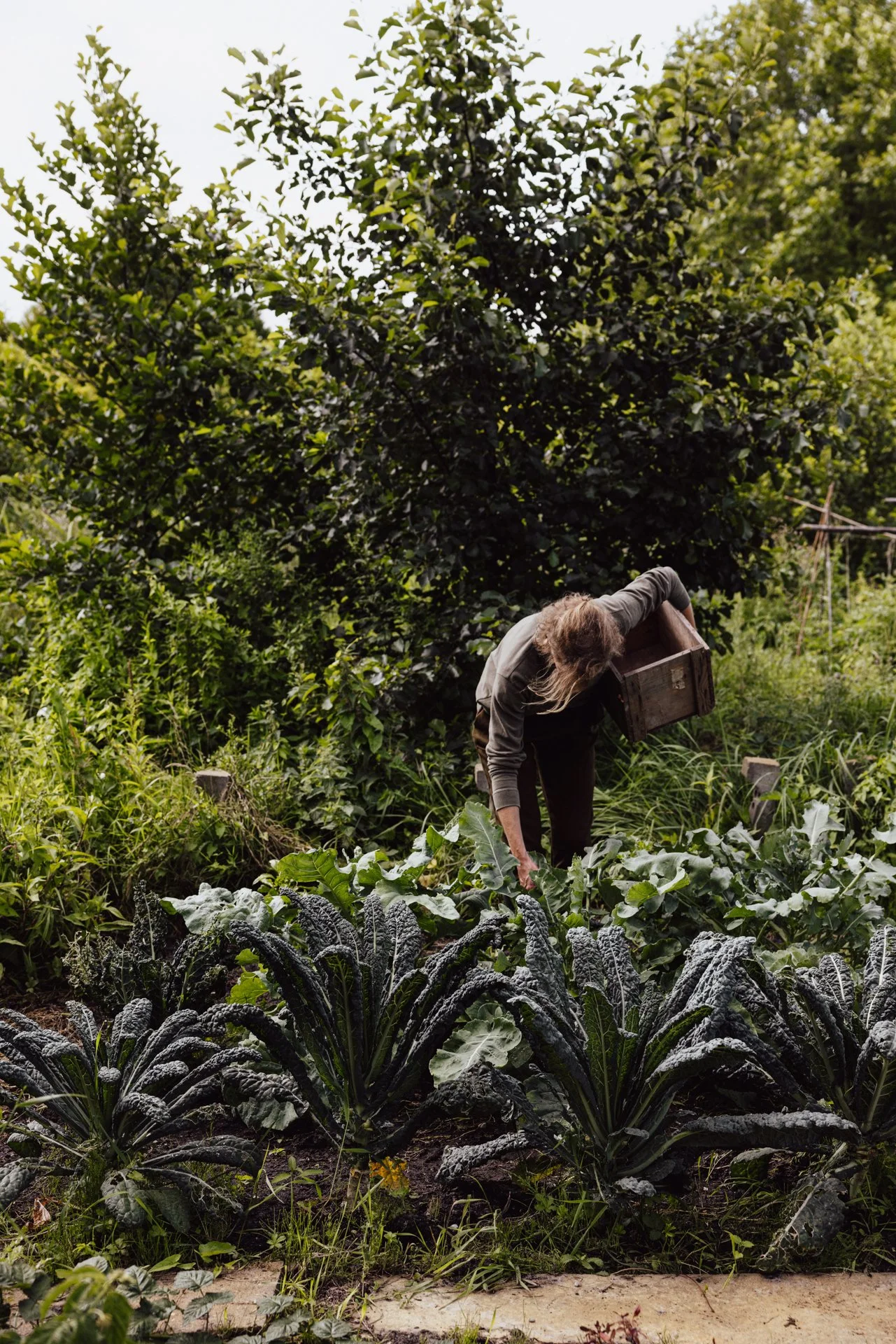 Femke Pastijn_Groente uit de tuin_0004.jpg