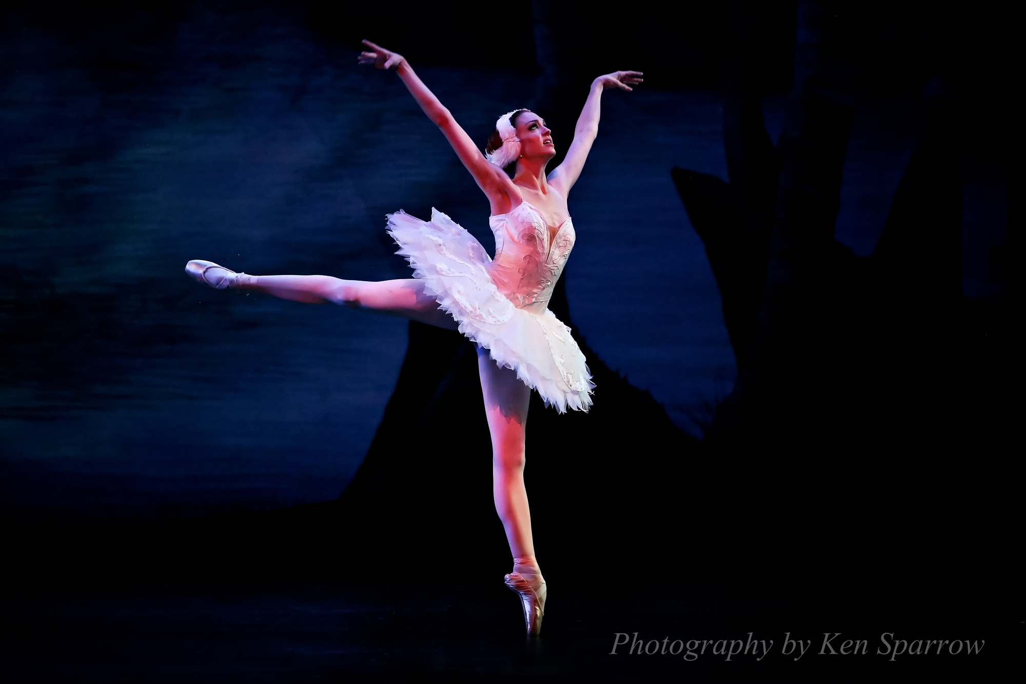 Clare Morehen, Swan Lake, 2008