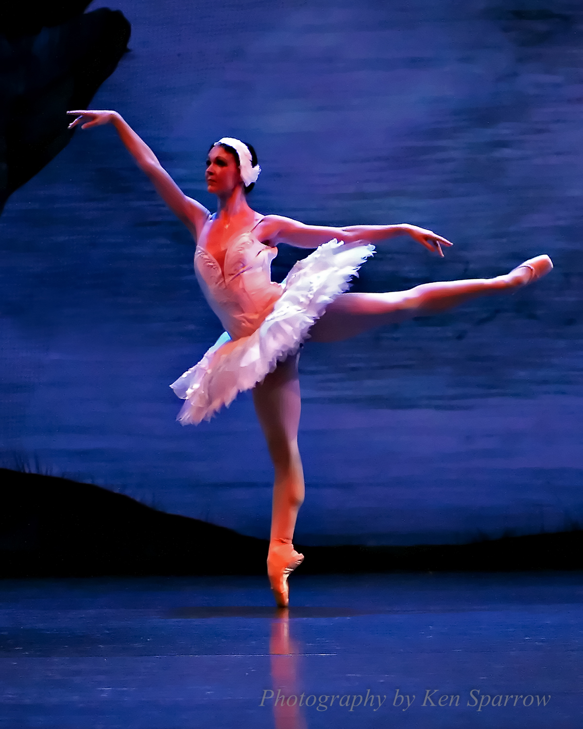 Melissa Tattam, Swan Lake 2008