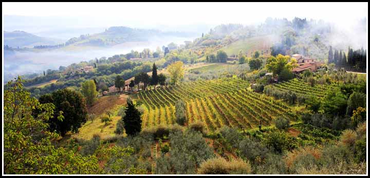 Tuscan landscape.jpg