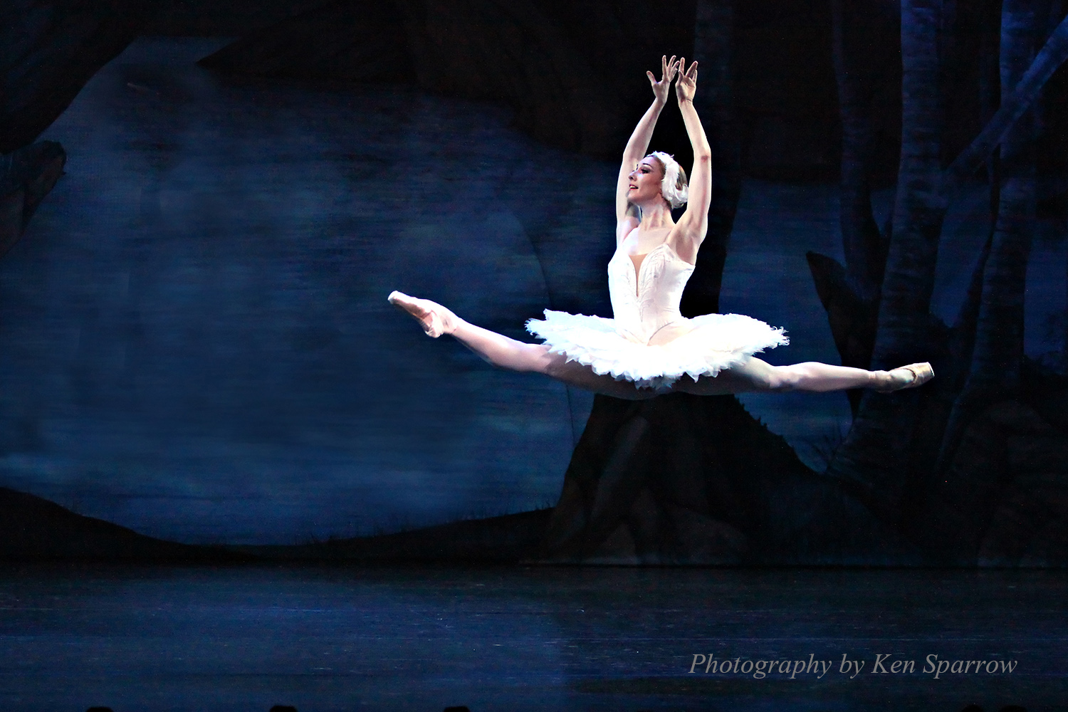 Lisa Edwards, "Swan Lake", 2011