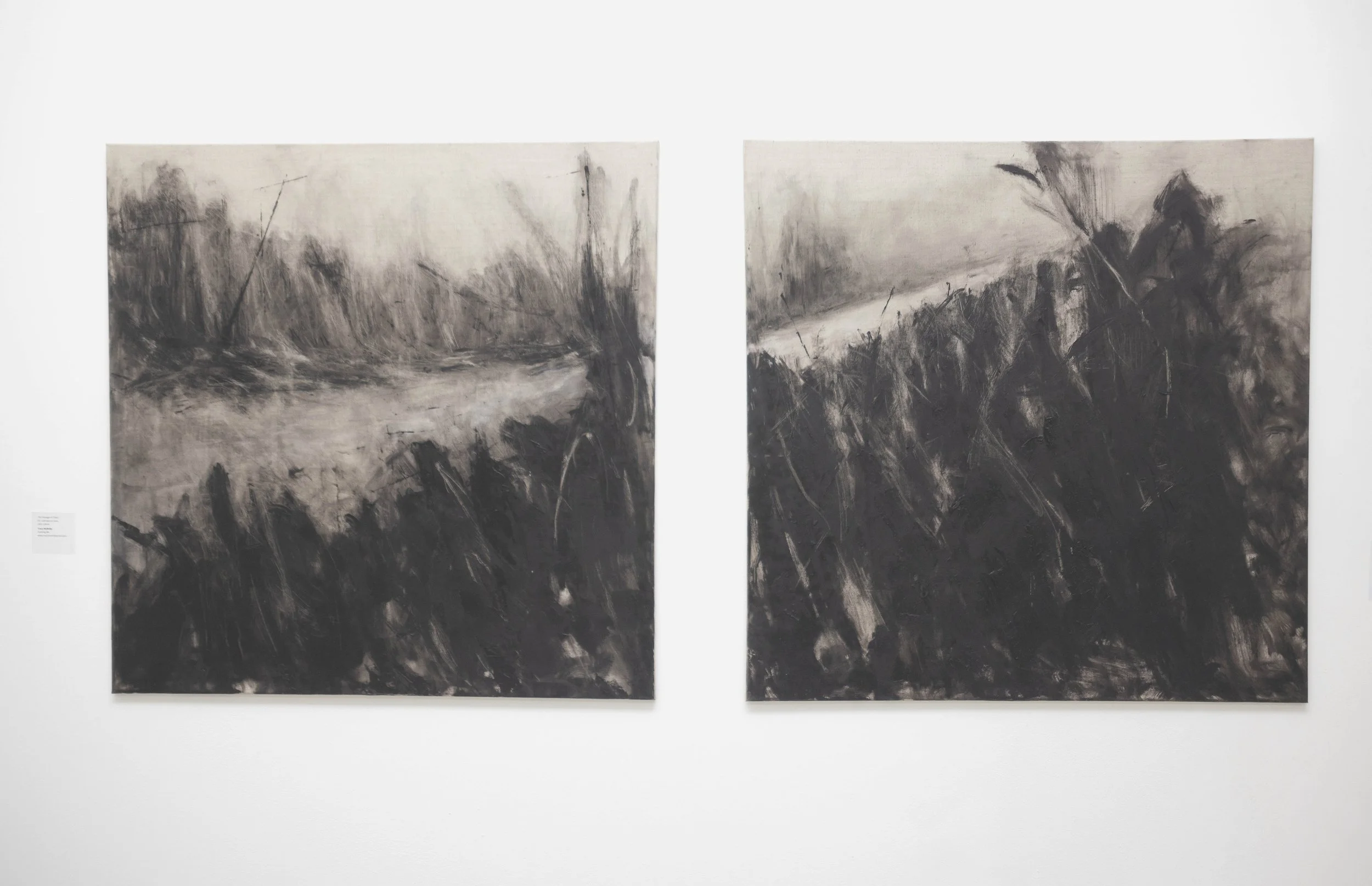 Tracy McBride - The Passage of Time I & II