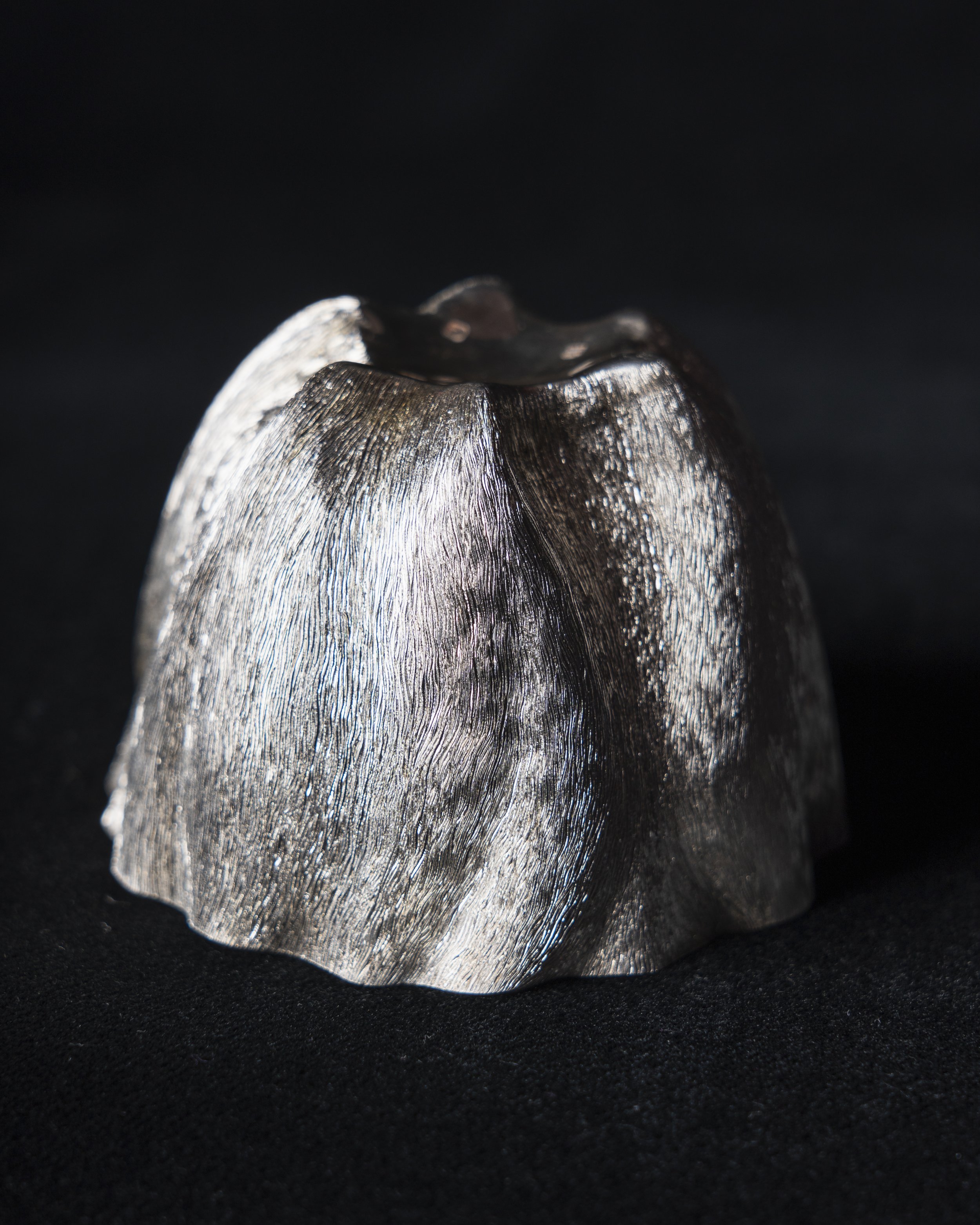 Anna Ólafsson - Anemone Cup