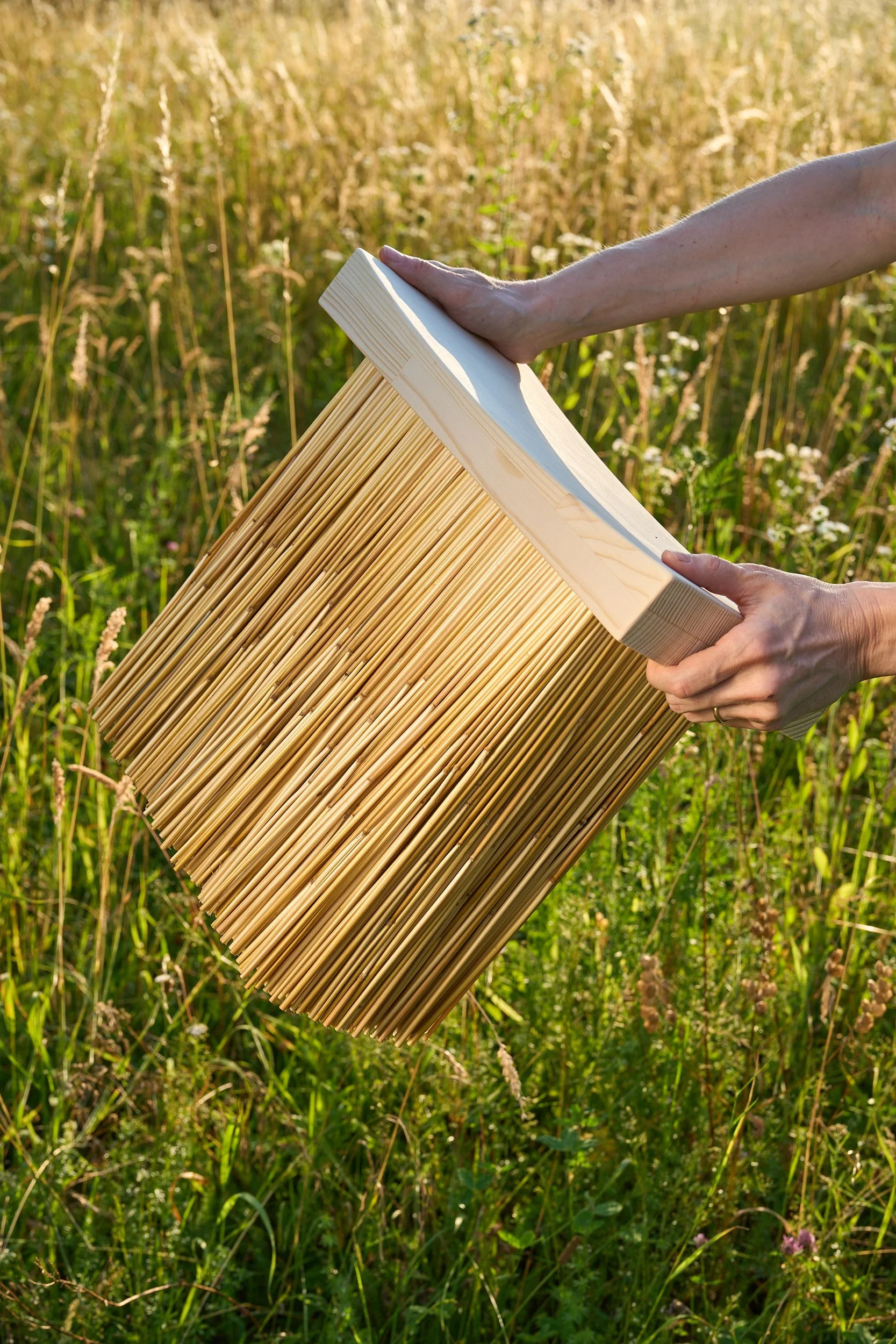 Lena Heinrich, 'Taxonomy of a Straw Bundle'