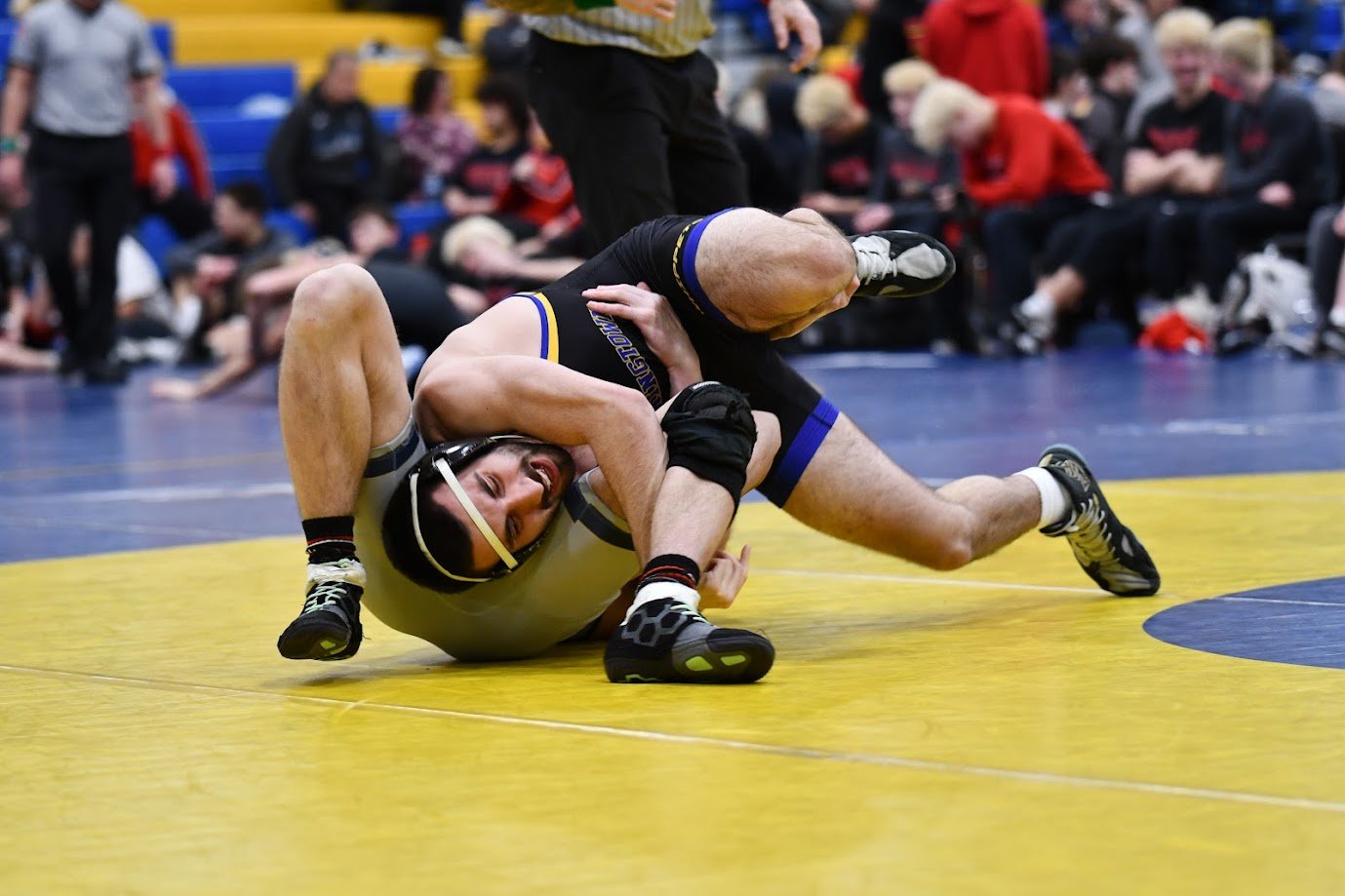 Whippet Duals Recap