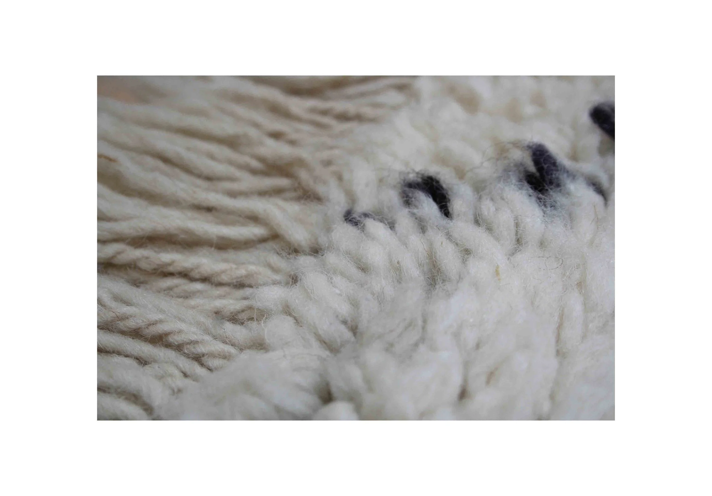 aunty rug2.jpg
