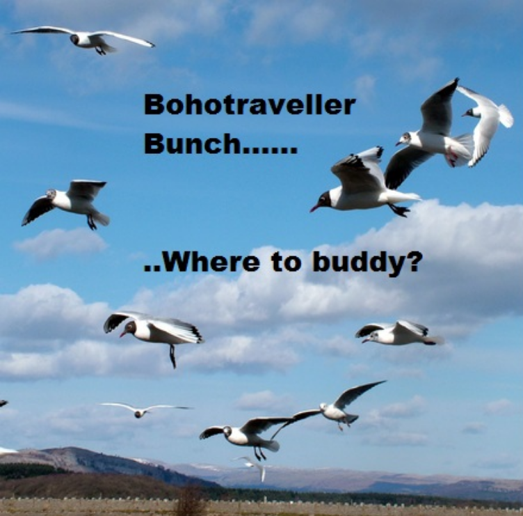 Bohotraveller.jpg