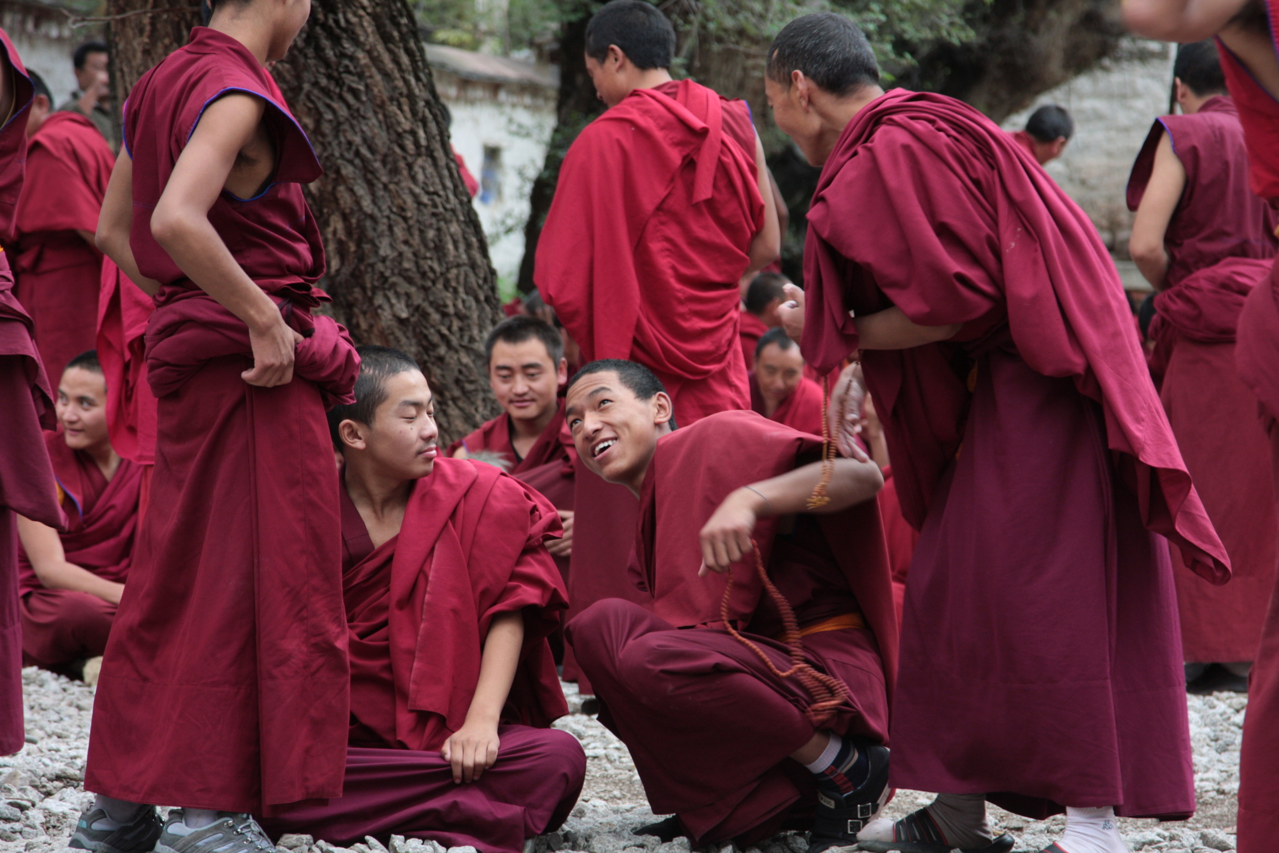 Monks preparing for debate