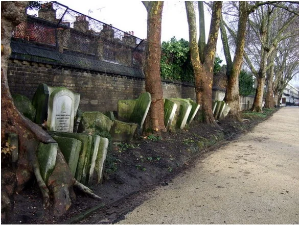 Camden gardens or Cemetery...take your pick! Pic Credits : https://goo.gl/d7FYCi