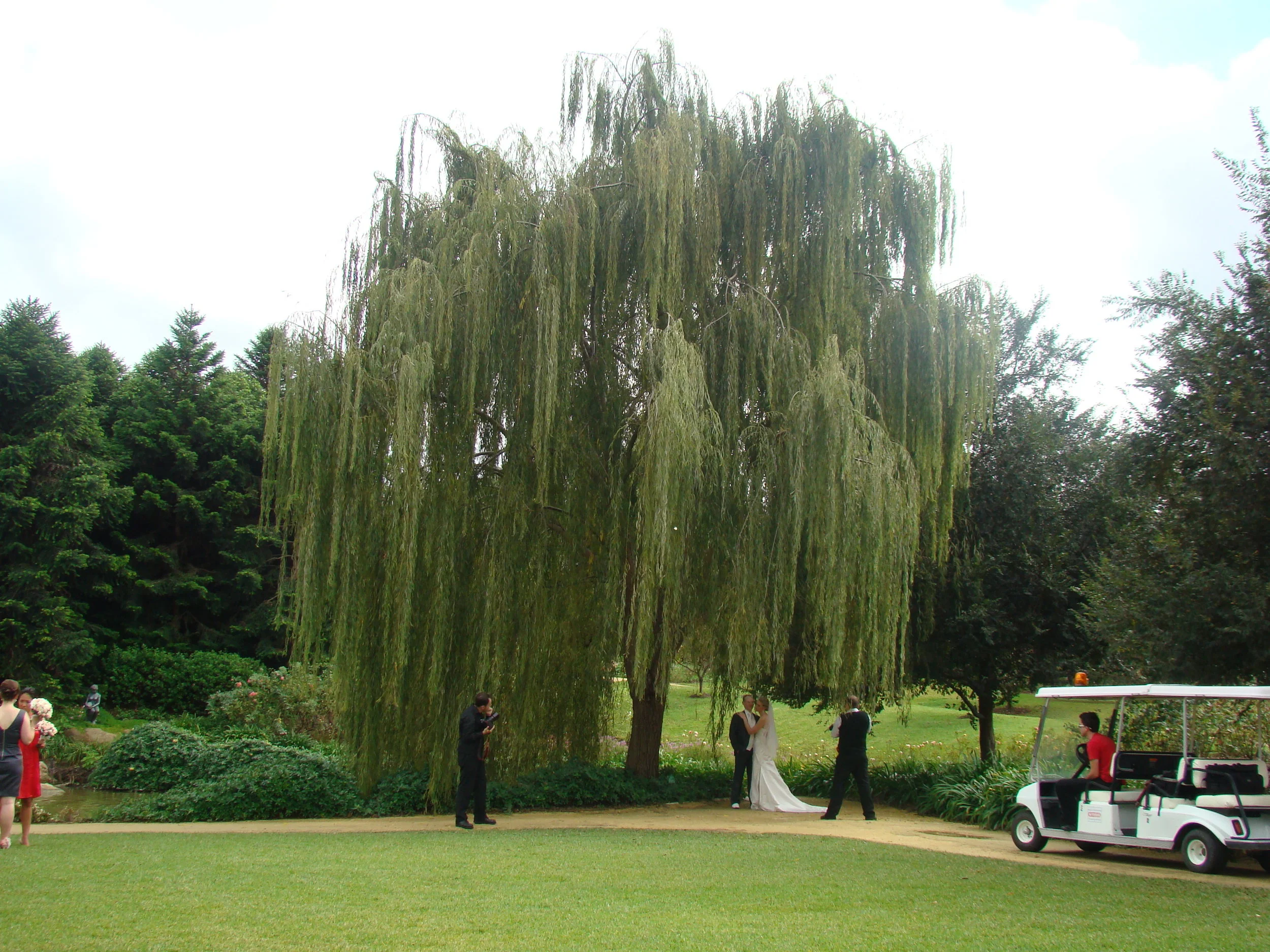 Wedding in Hunter Valley- How romantic!