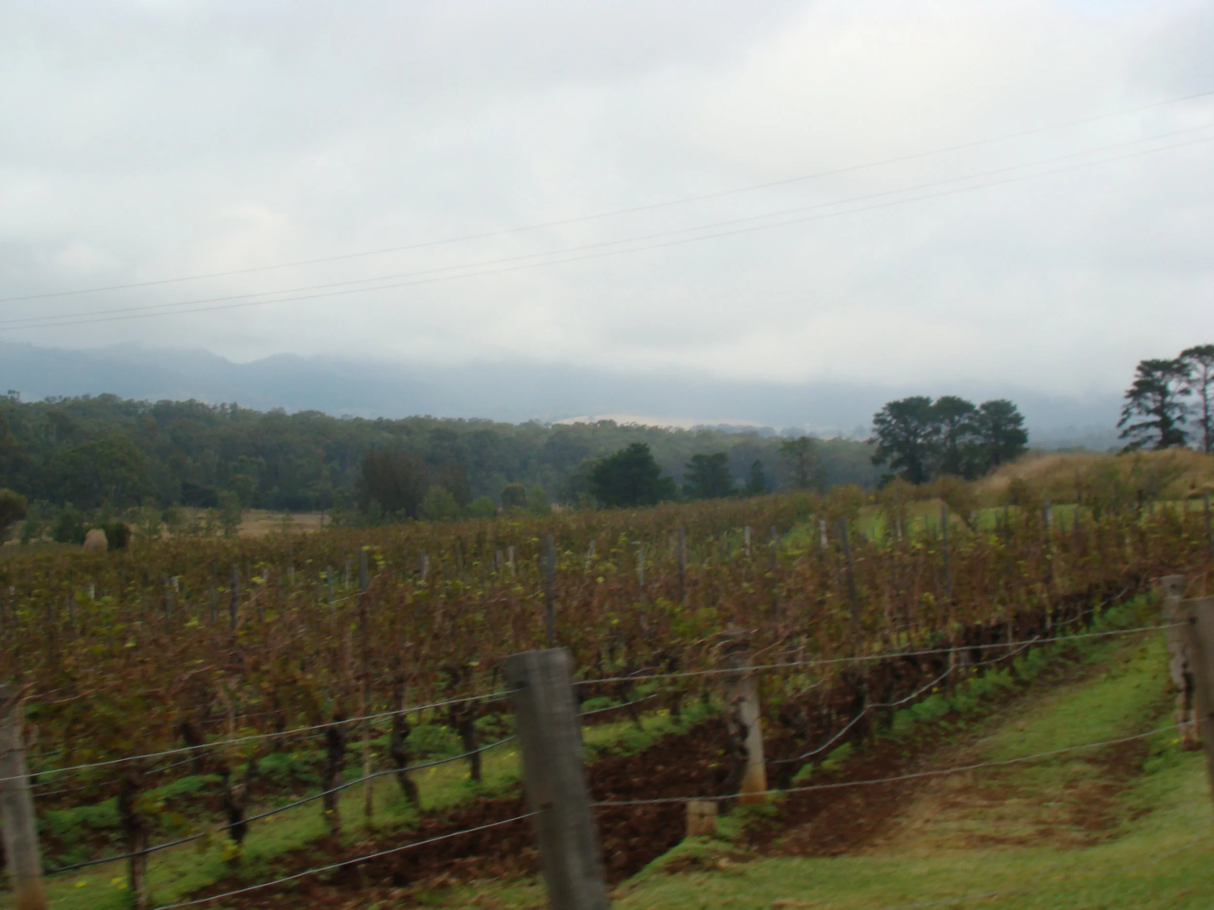 Wine lovers' paradise