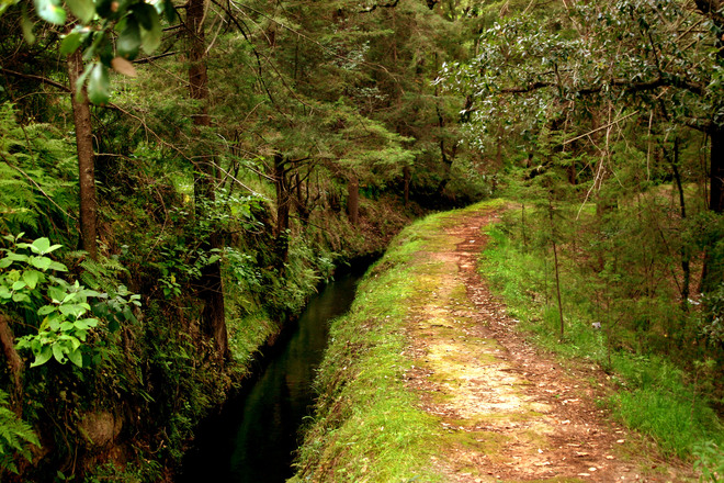 Choose your trail wisely