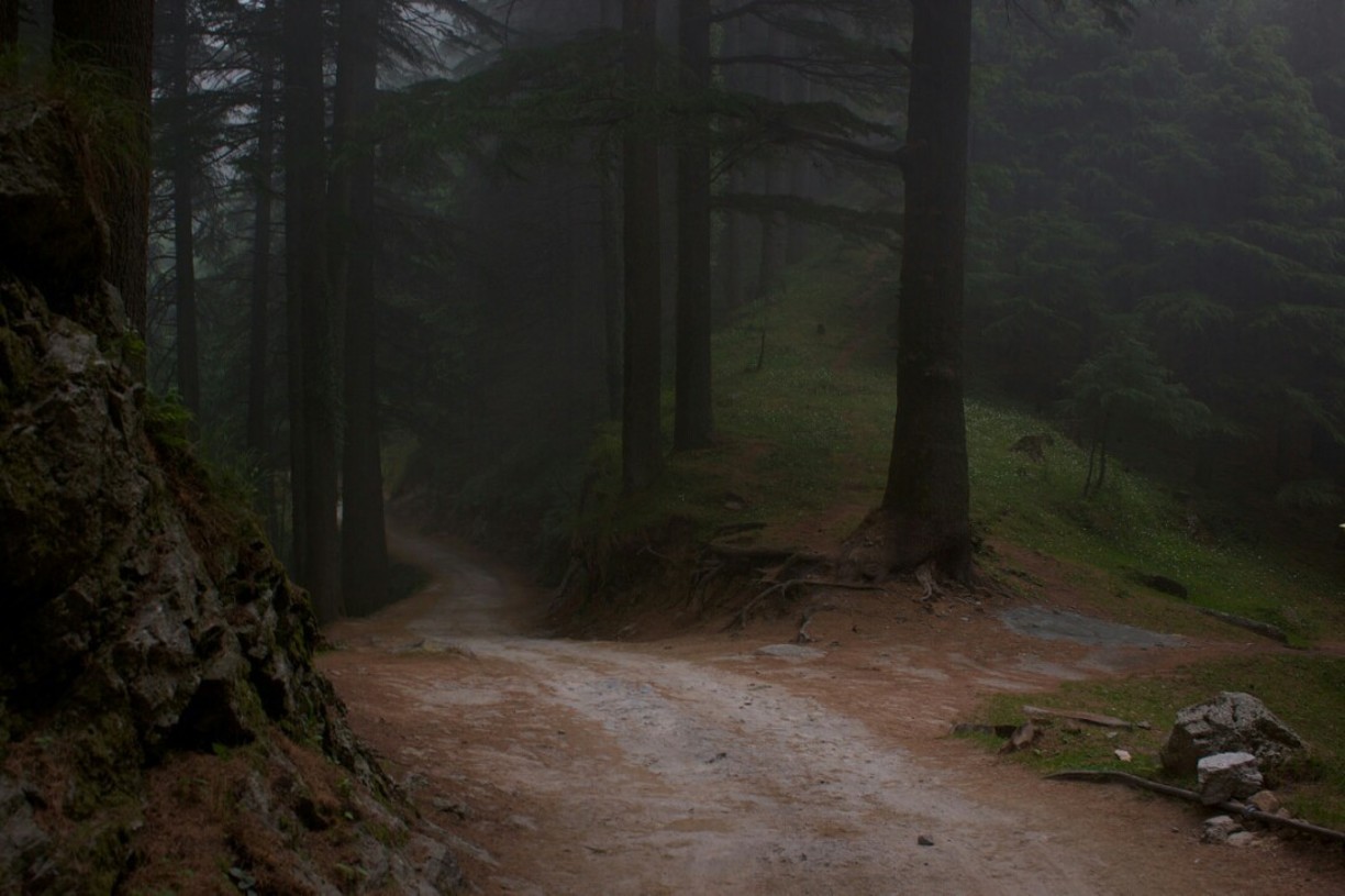 Raring to get away! credits: http://www.trover.com/d/zs8P-kalatop-wildlife-sanctuary-kalatop-india