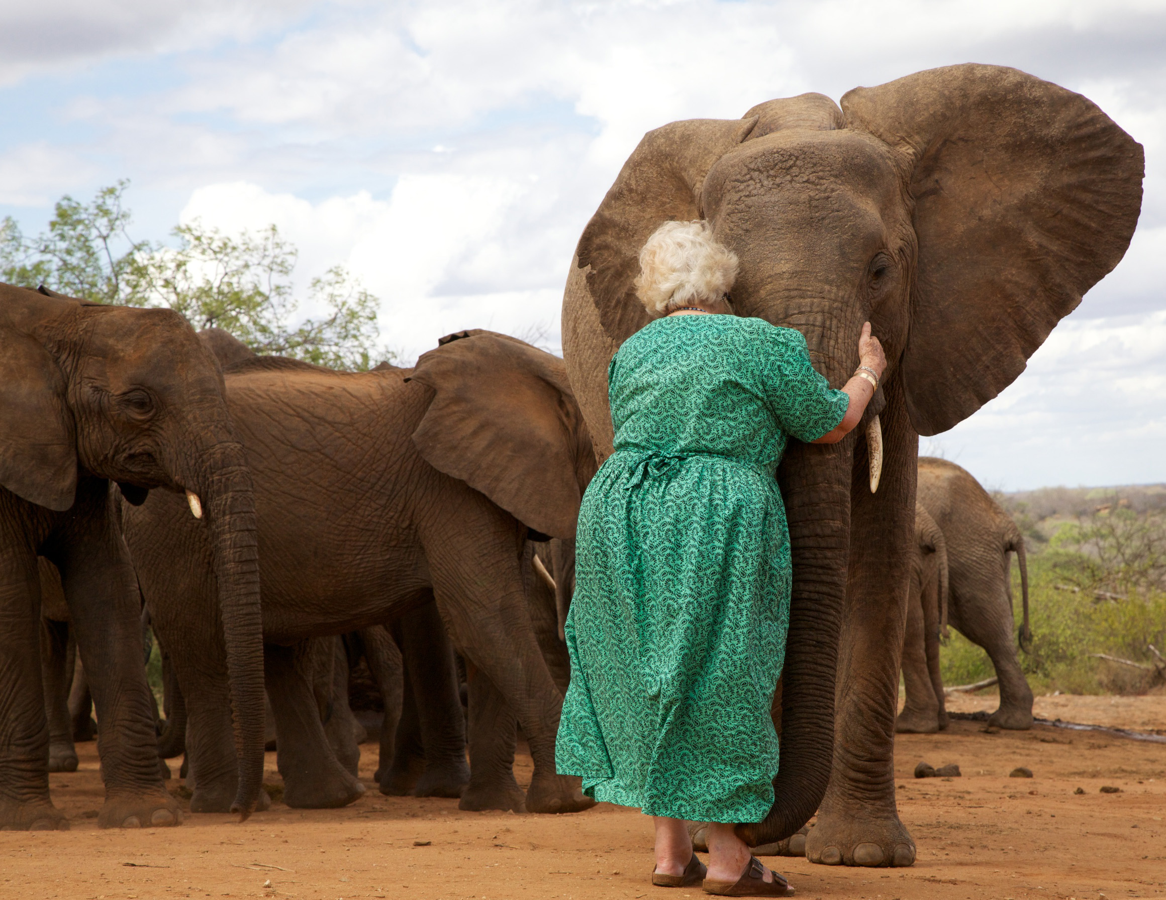 Dr. Dame Daphne Sheldrick with Wendie