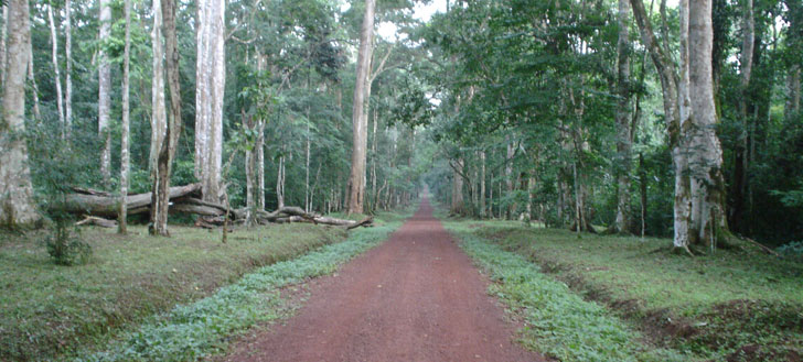 http://earthwatch.org/expeditions/investigating-threats-to-chimps-in-uganda
