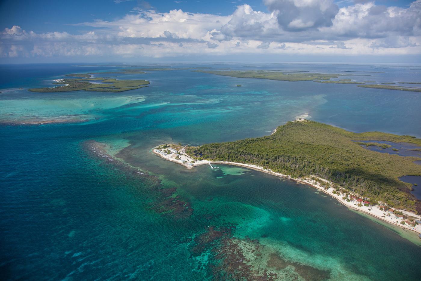 https://www.oceanicsociety.org