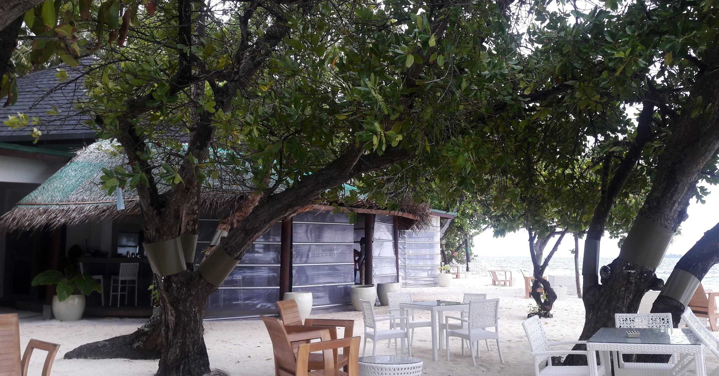 The Bar area