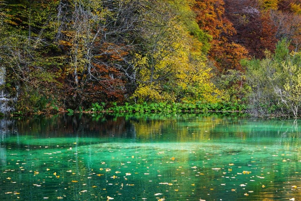 Crystal cear emerald waters of Plitvice lakes gorgeously surrounded by the autumn colours (6).jpeg