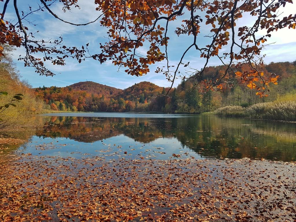 Crystal cear emerald waters of Plitvice lakes gorgeously surrounded by the autumn colours (5).jpeg