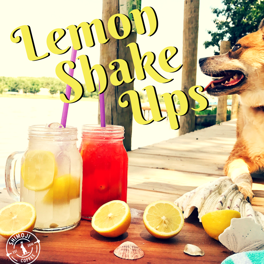 Lemon Shake-Ups.PNG