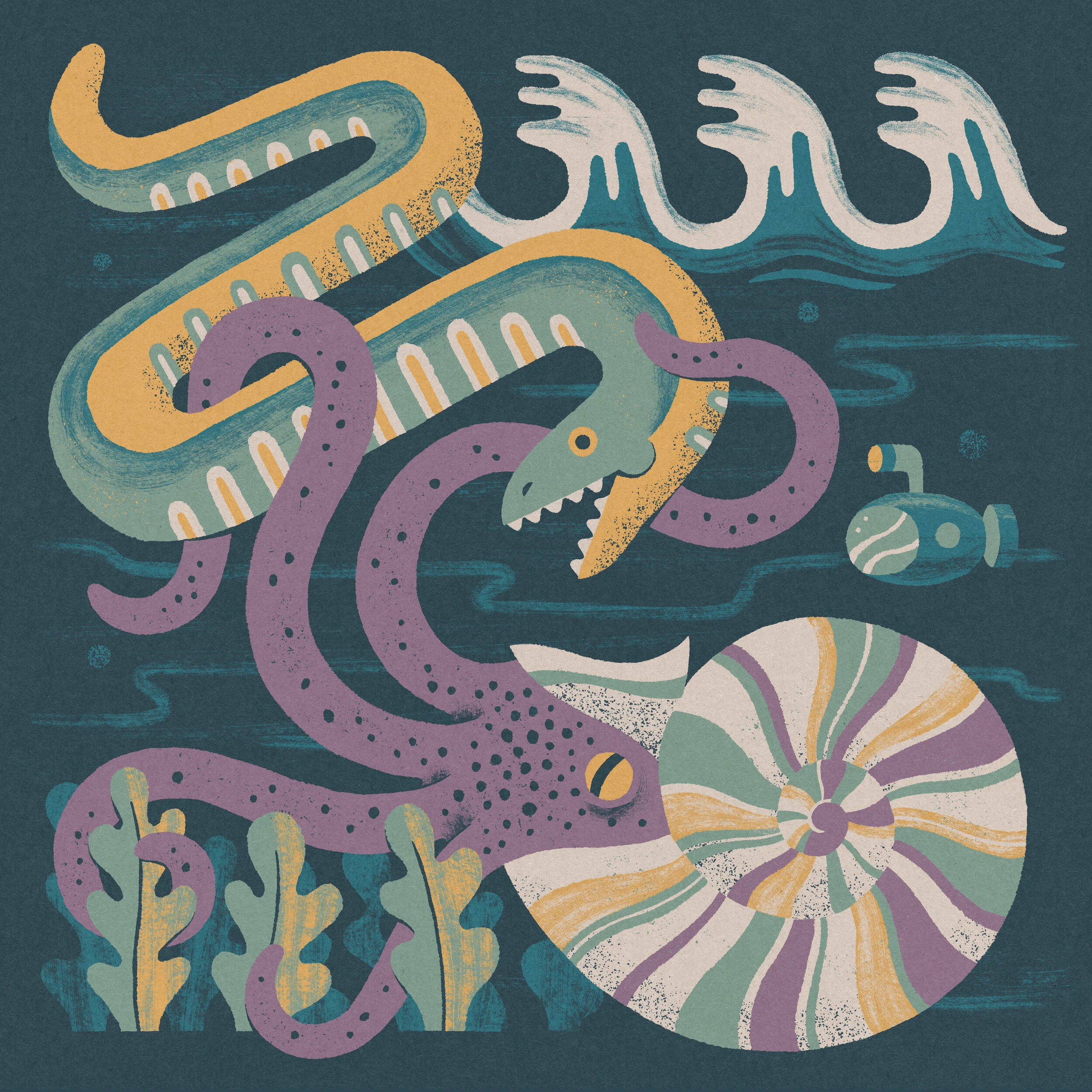 Nautilus_2.jpg