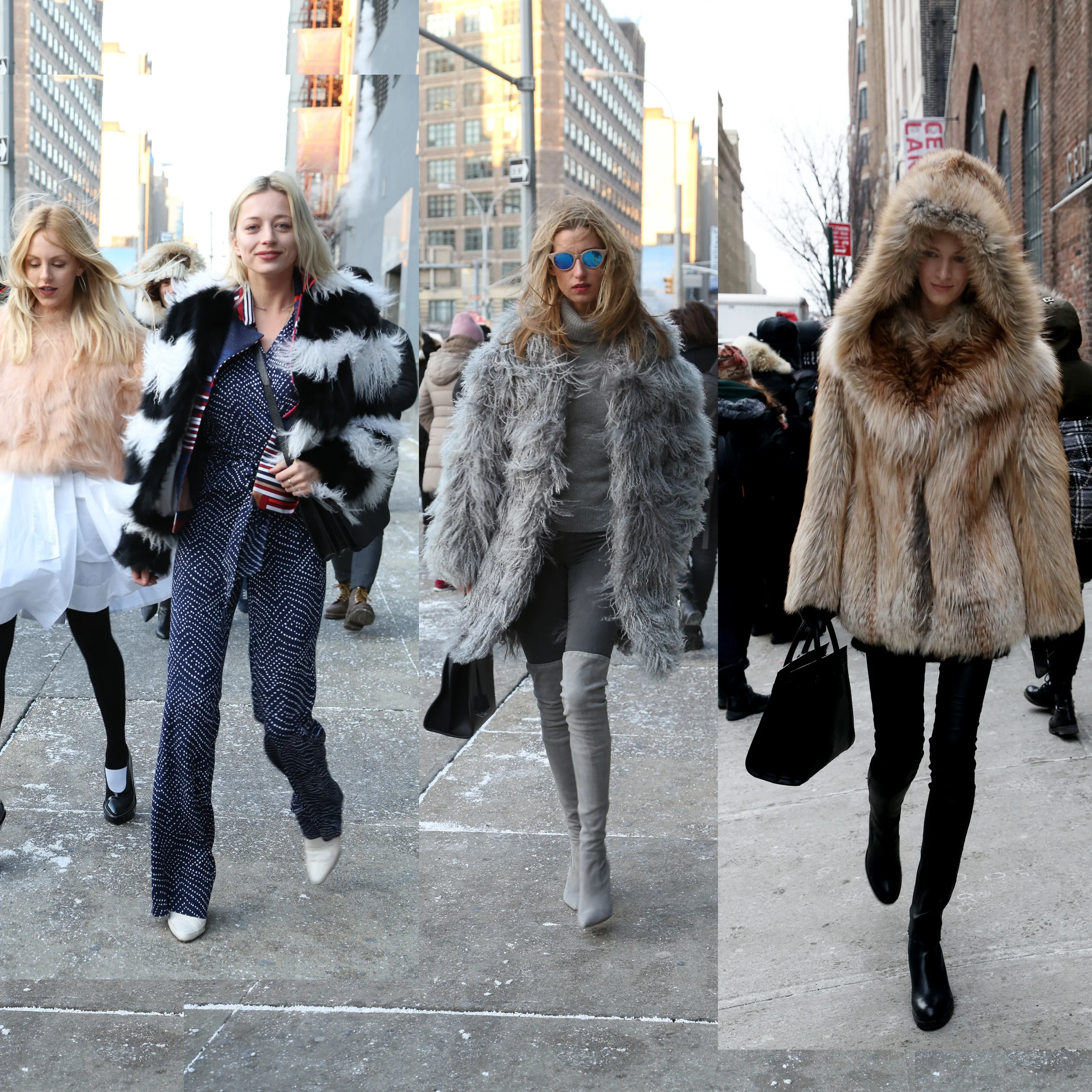 fur.jpg