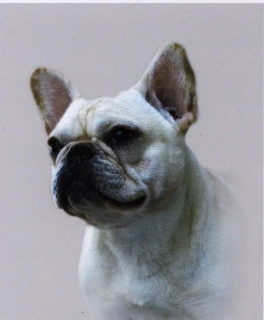 Lilly Show 40002.jpg