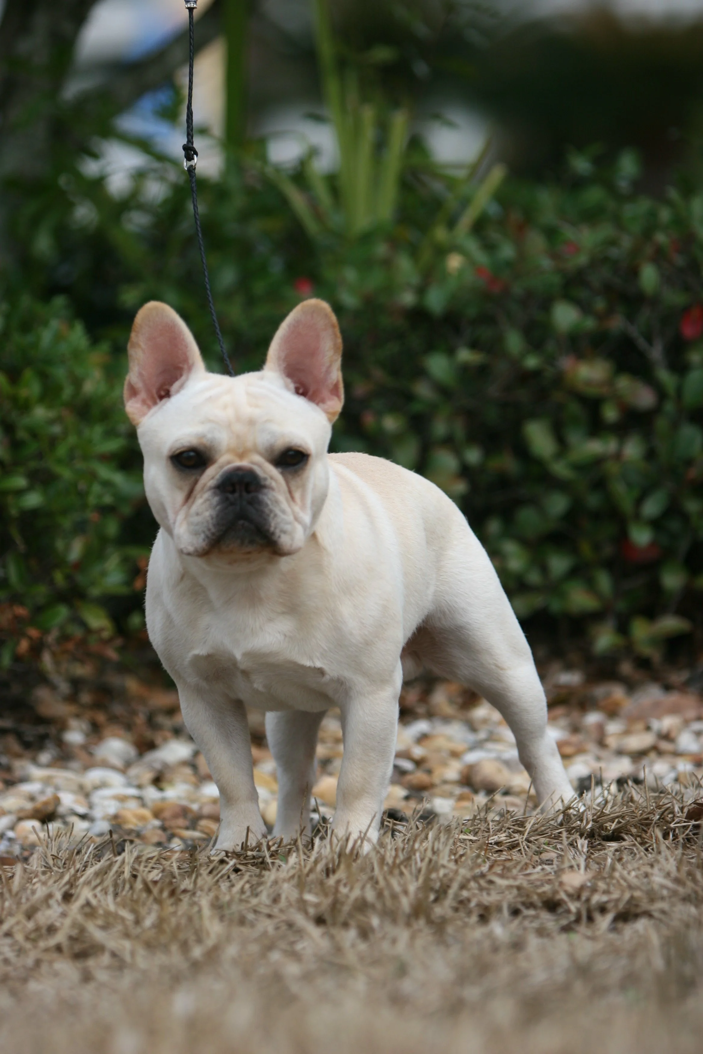 perry payson 432.JPG