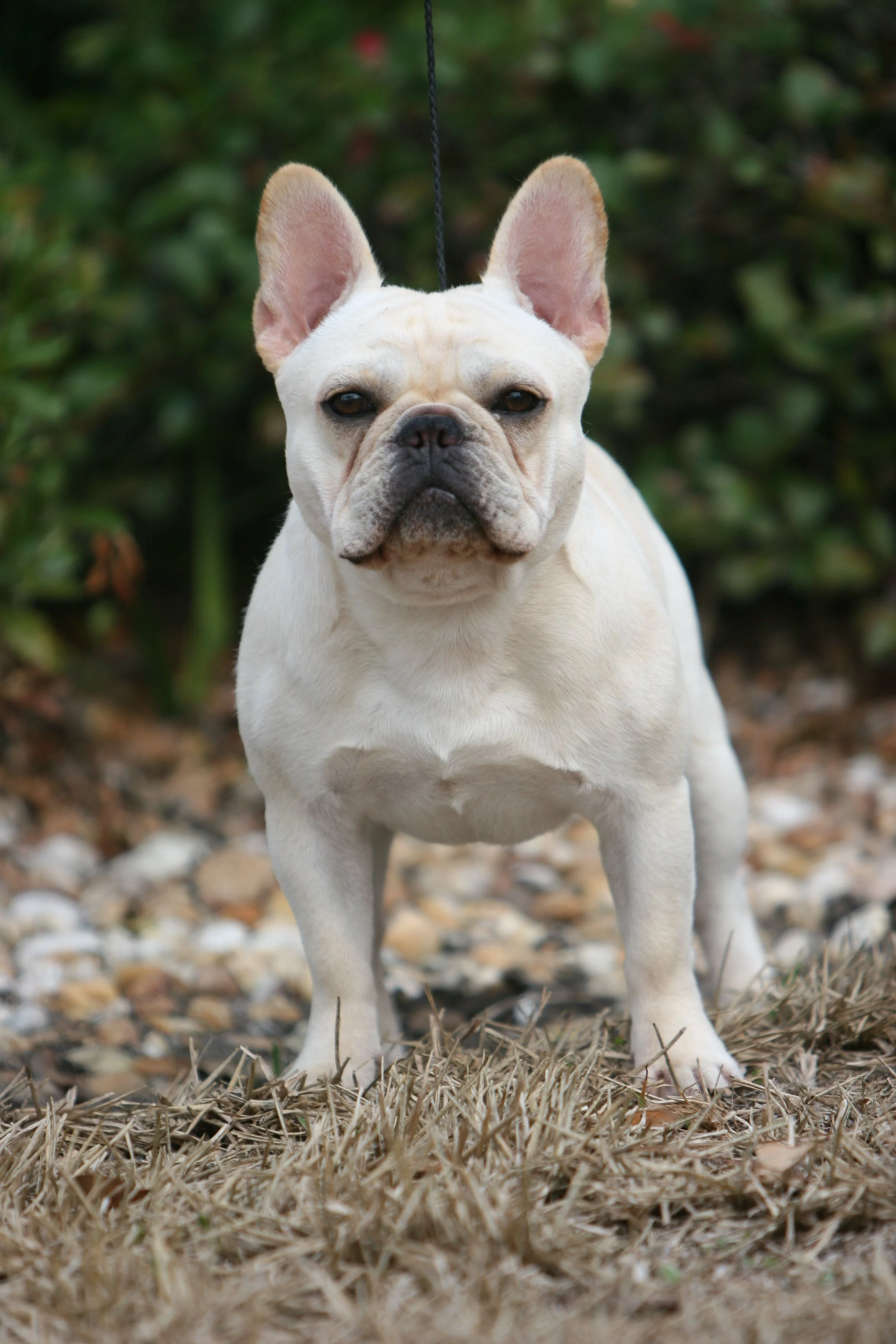 perry payson 430.JPG