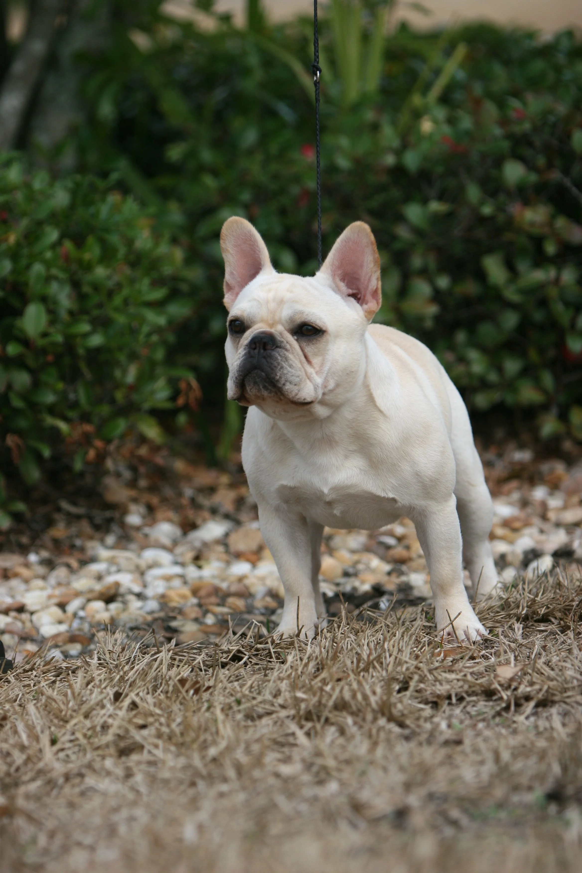 perry payson 426.JPG