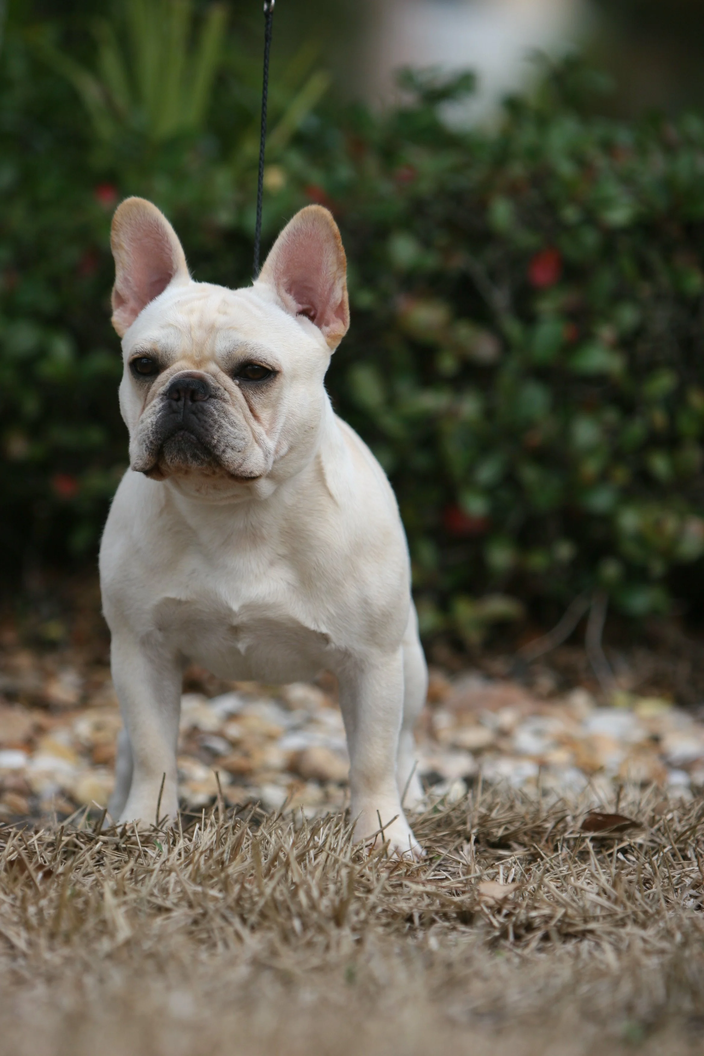 perry payson 424.JPG