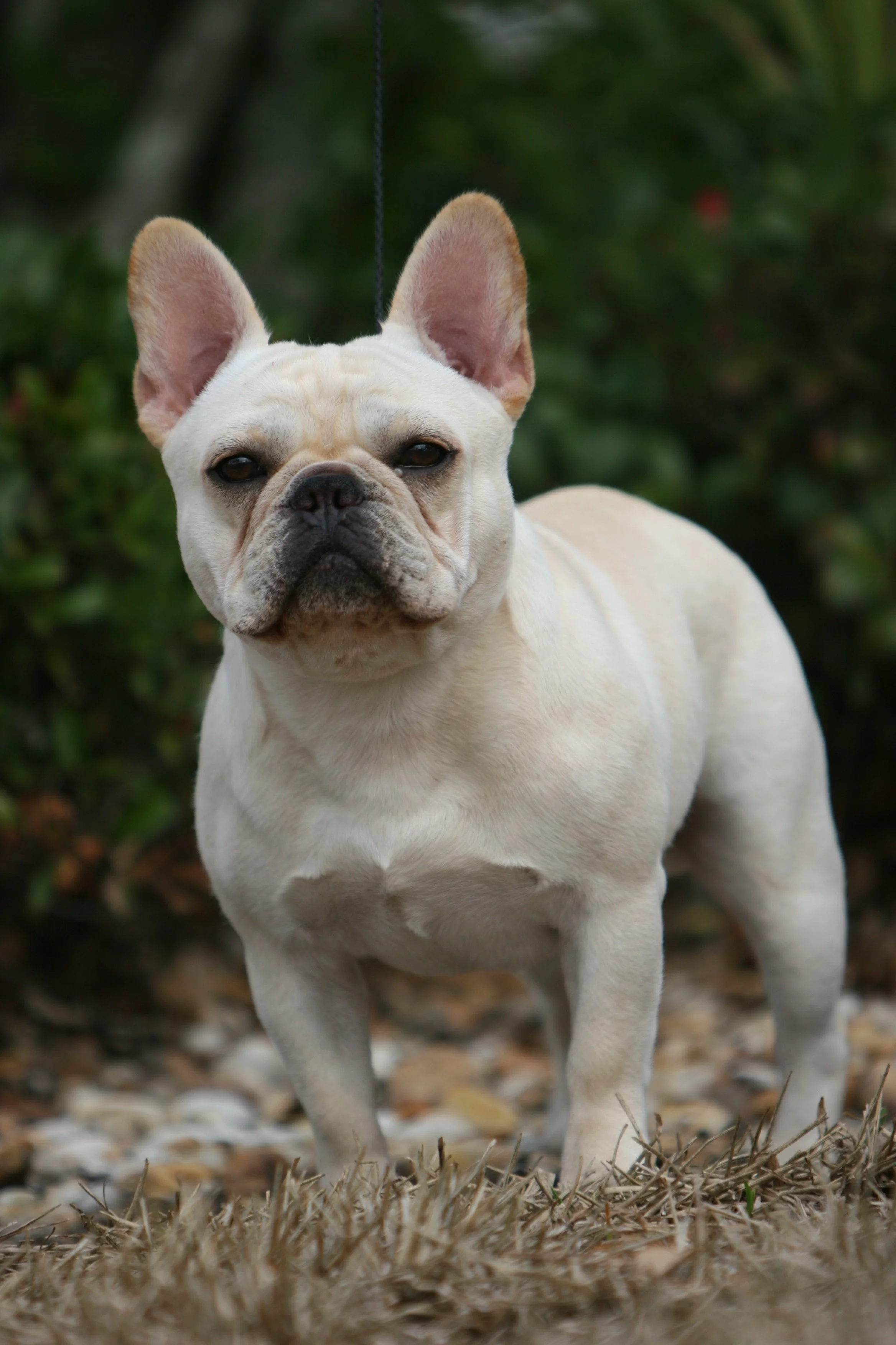 perry payson 410.JPG