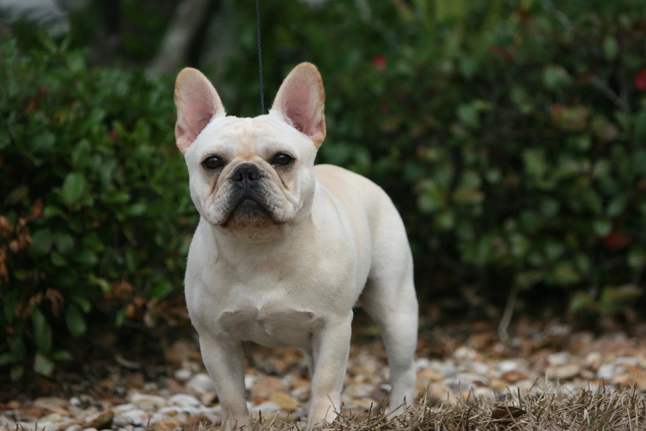 perry payson 408.JPG