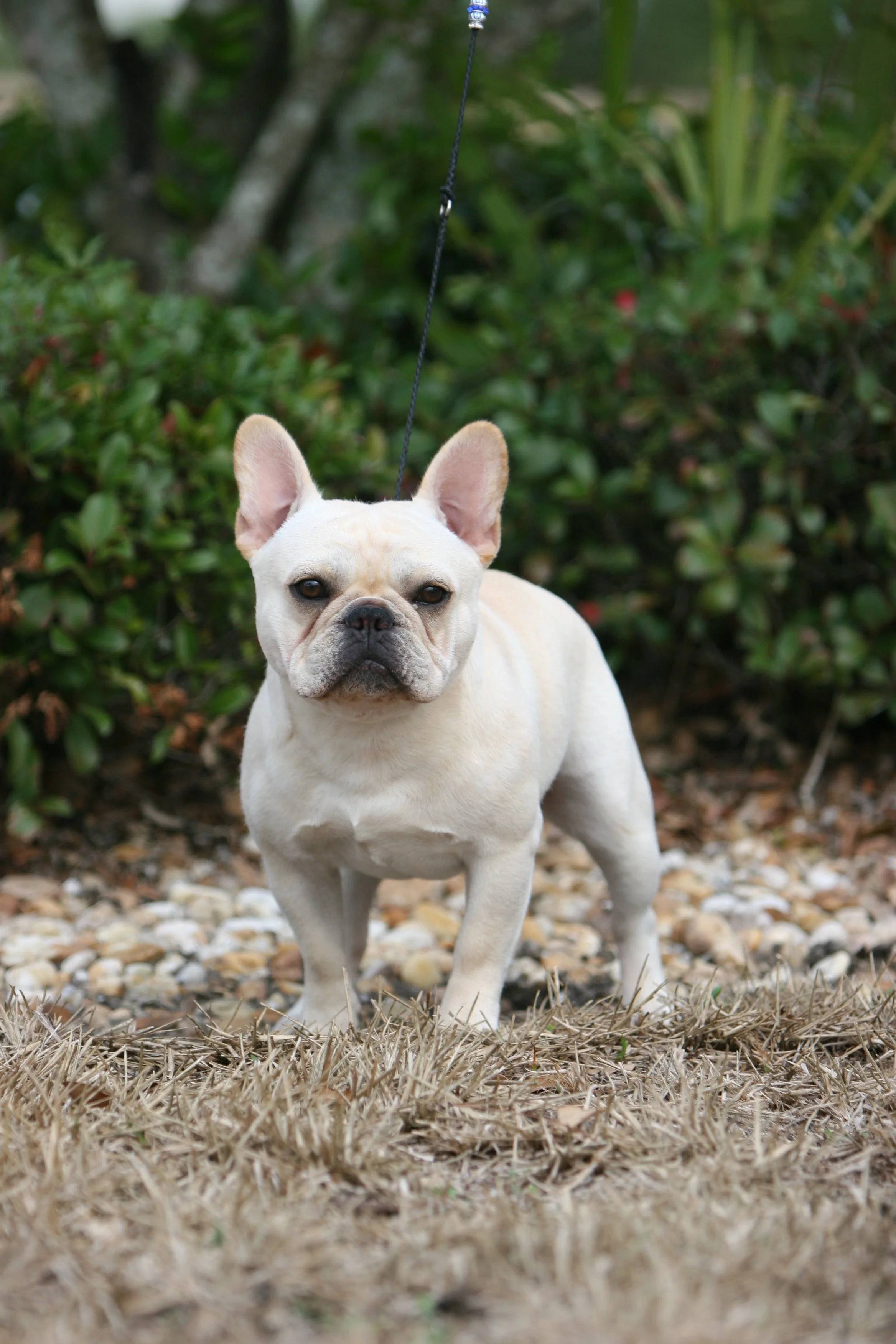 perry payson 406.JPG