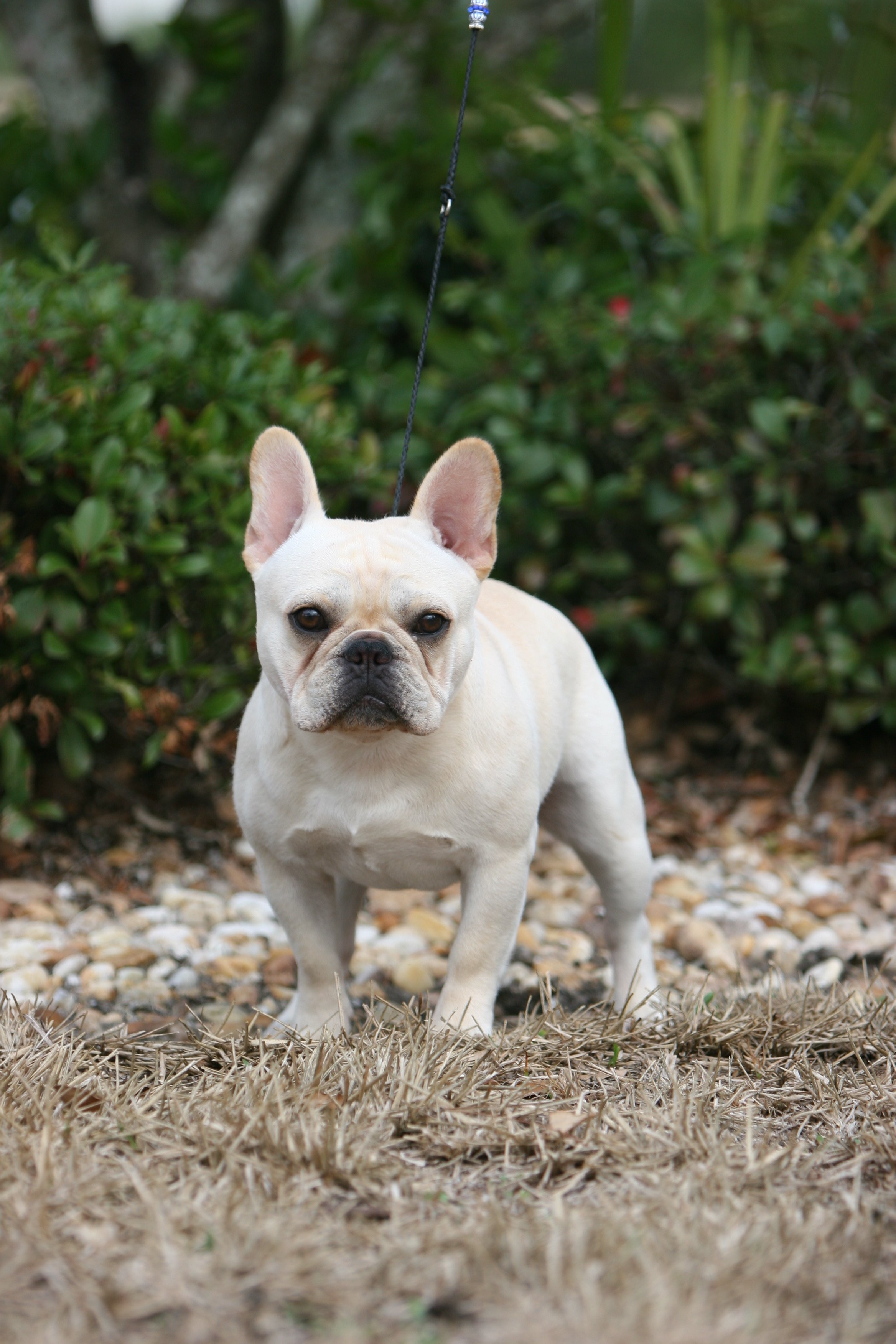 perry payson 405.JPG