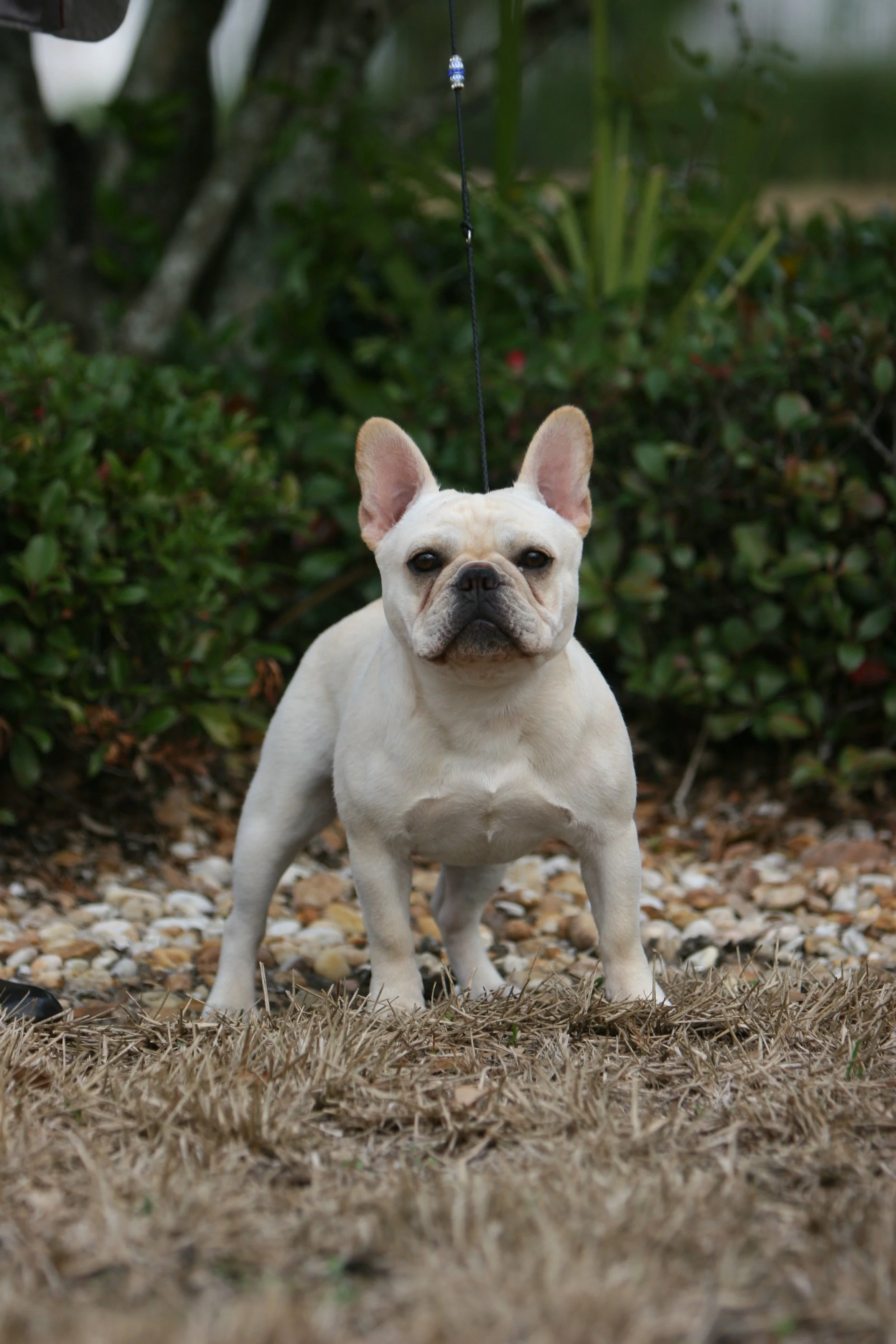 perry payson 403.JPG