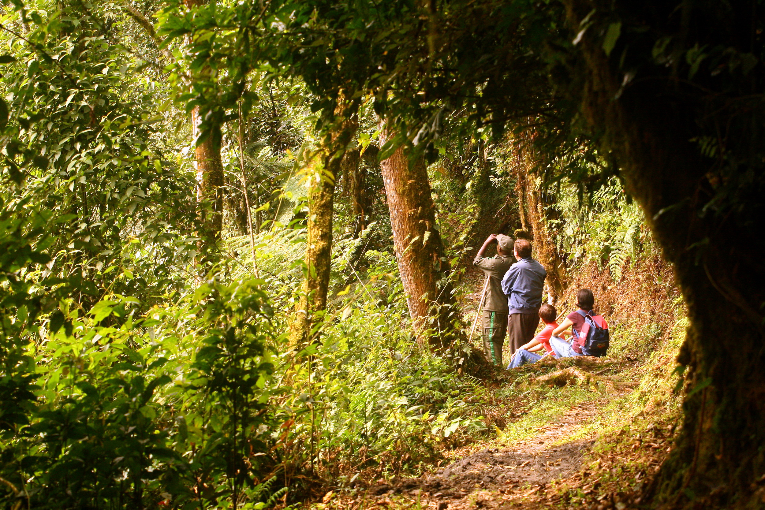 Final guest interaction Nyungwe forest lodge_4.jpg