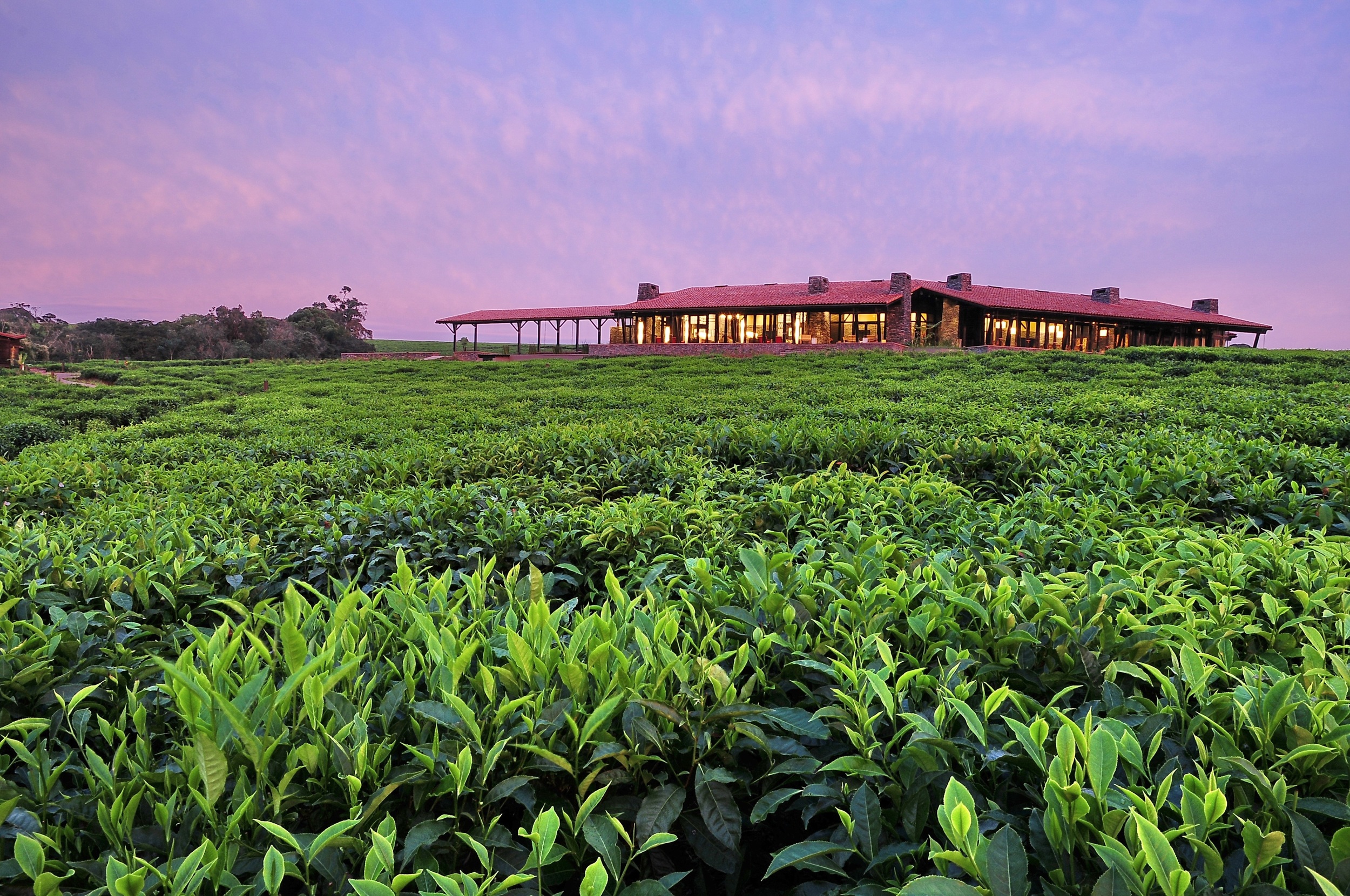 Nyungwe Forest Lodge.jpg
