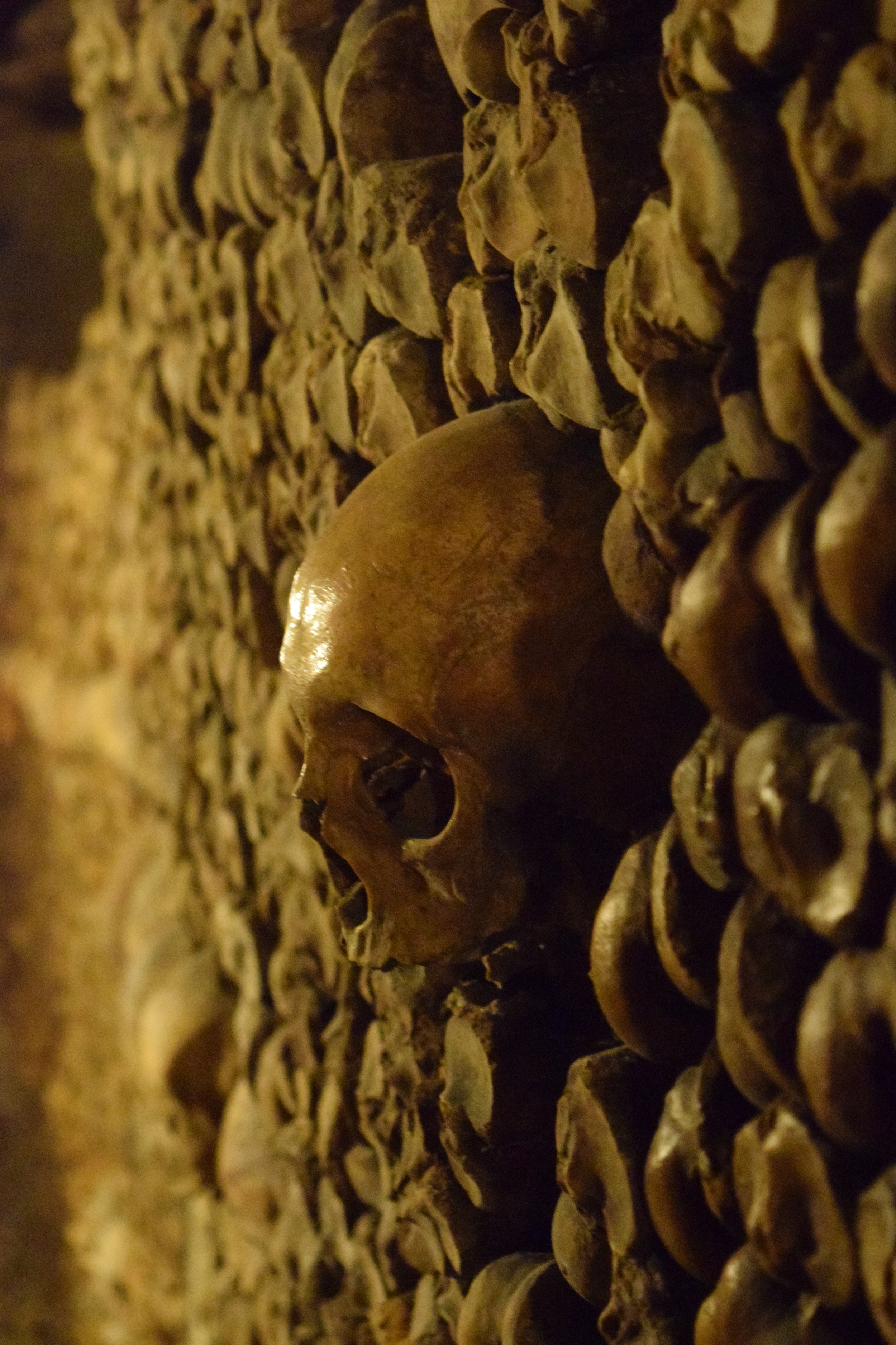  Paris Catacombs 