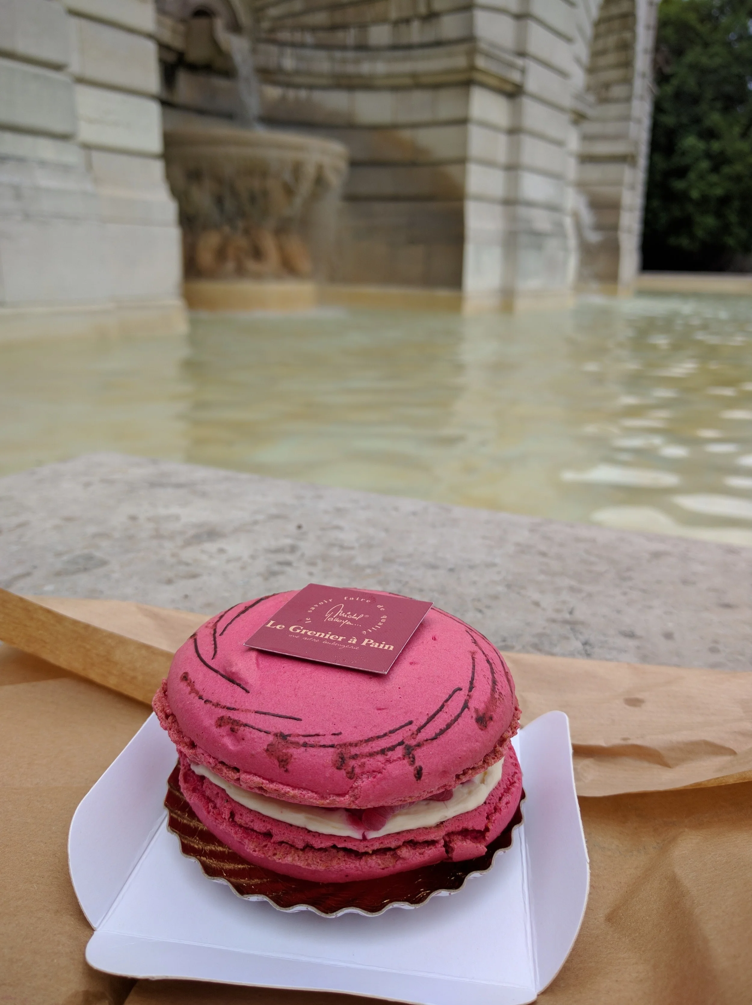 Raspberry macaroon! (This cost almost as much as the sandwiches above...)