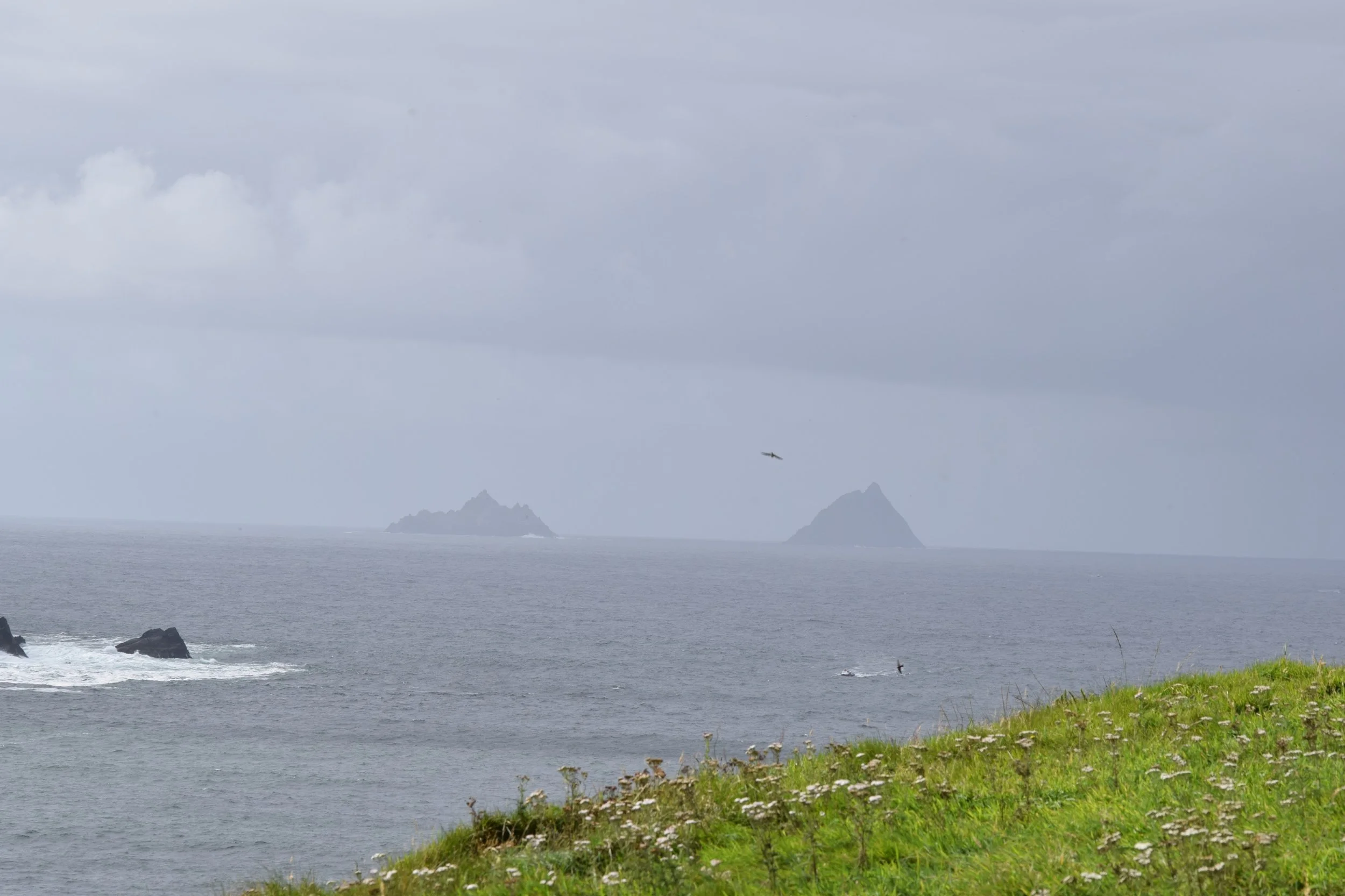 Skellig Islands in the distance- we plan to come back and see them by boat someday!