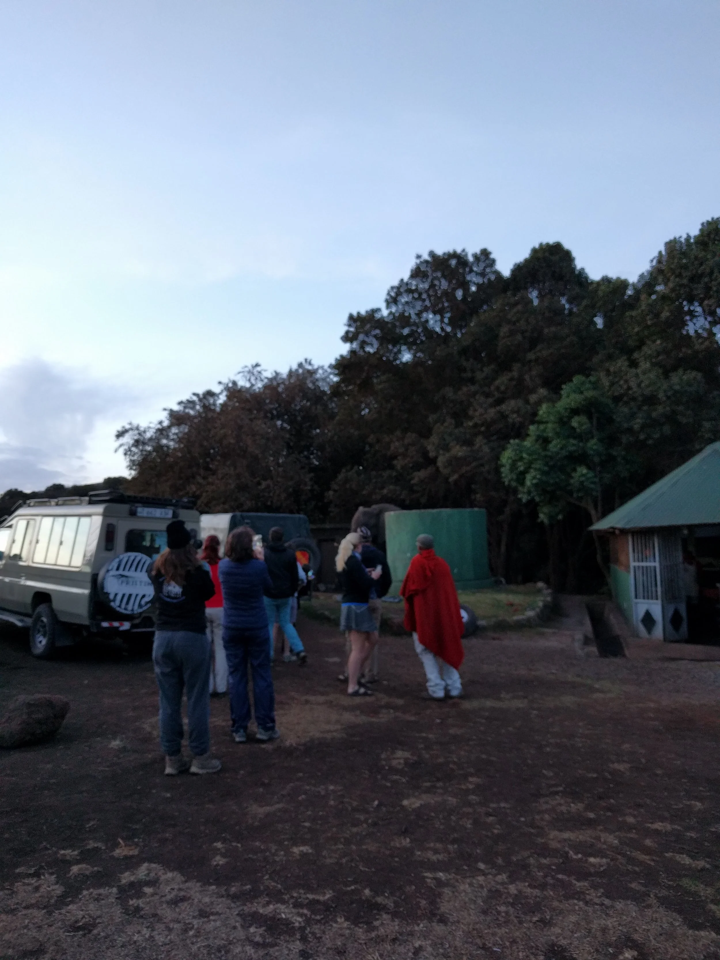 A little hard to see, but that is an elephant that comes every night to drink out of the cistern at the camp. We kept a reasonable distance...