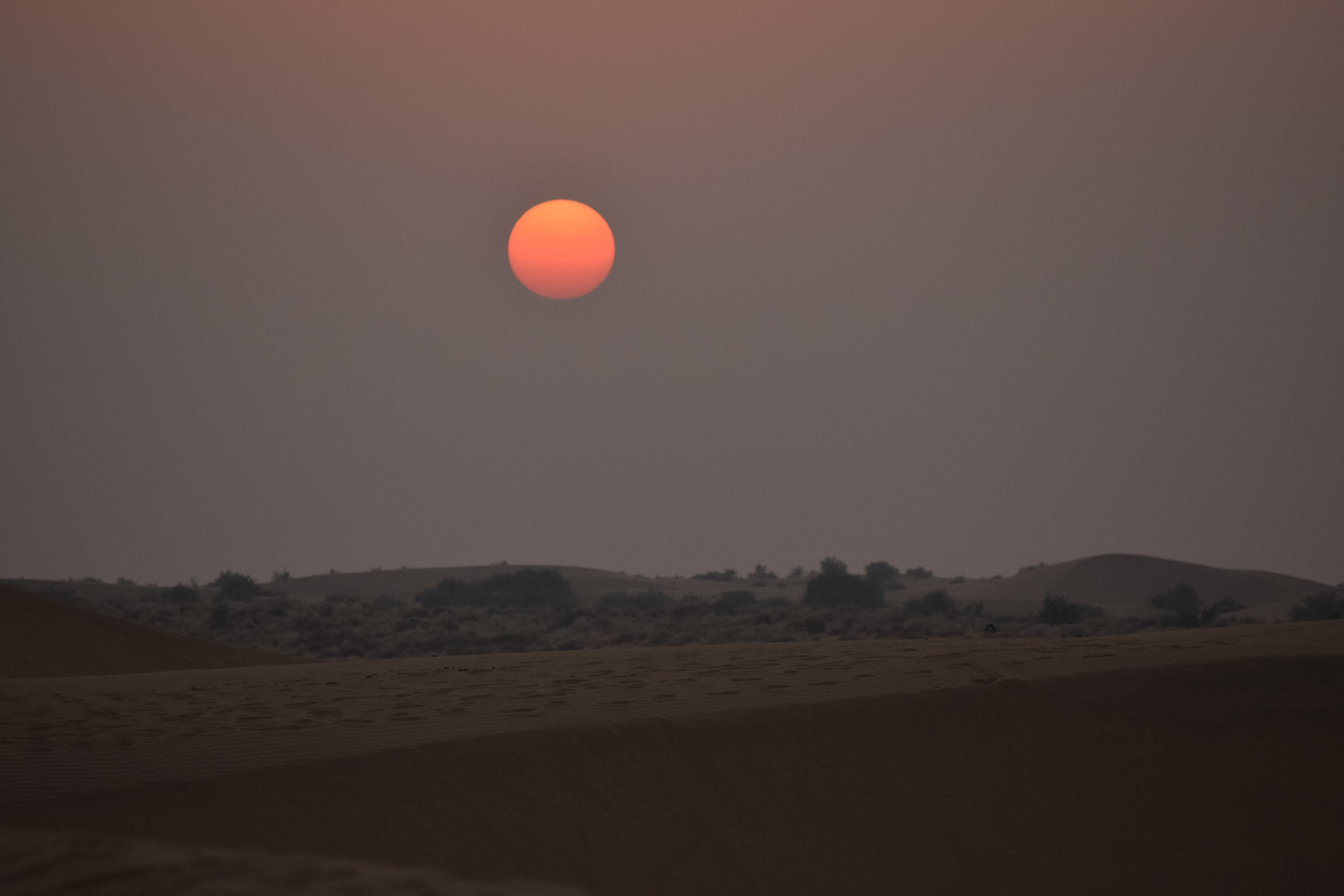India Desert Sunset