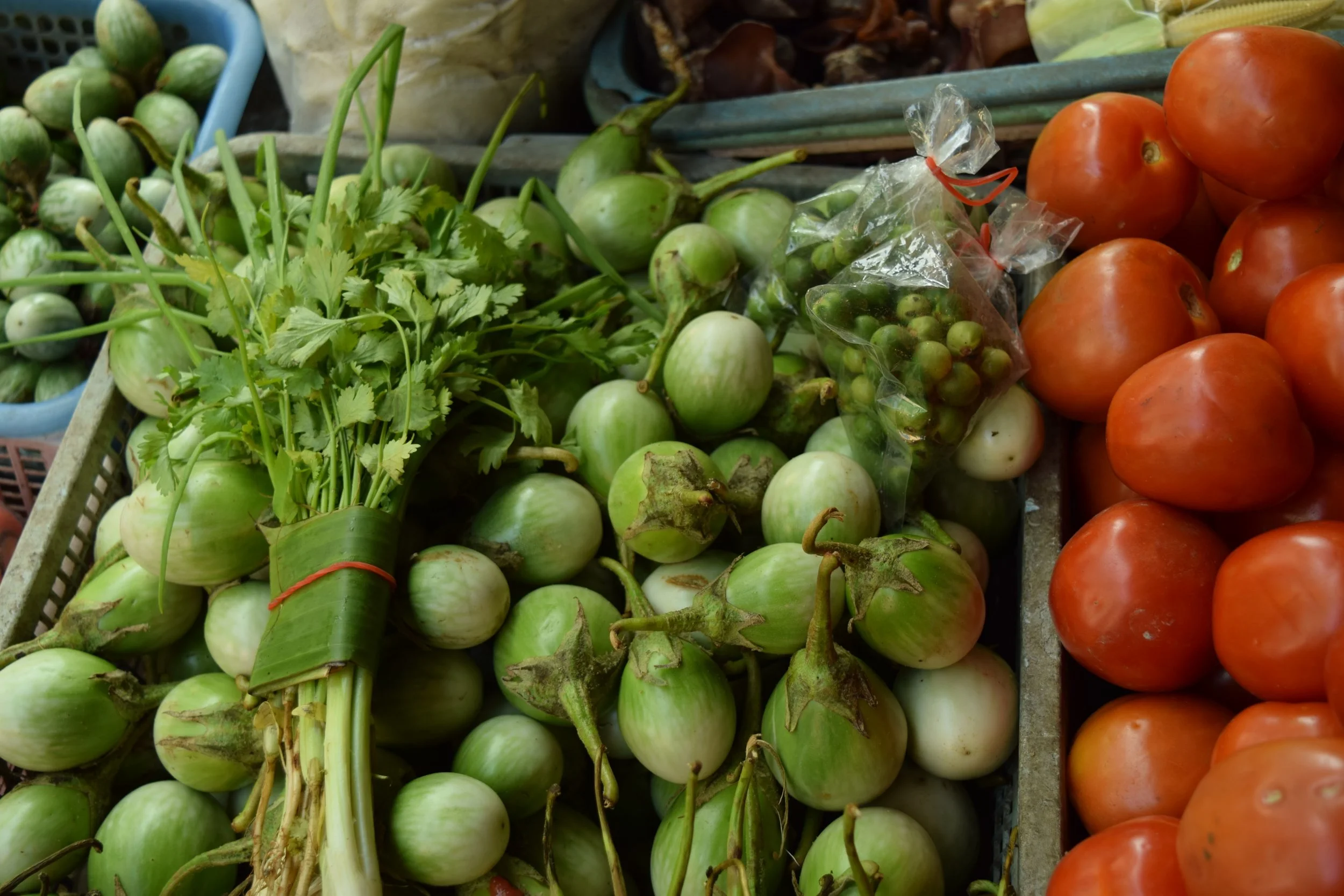 The round green things above are Thai eggplant! even the very small pea-looking things in the bag. Eggplant is used in green curry. Yum!